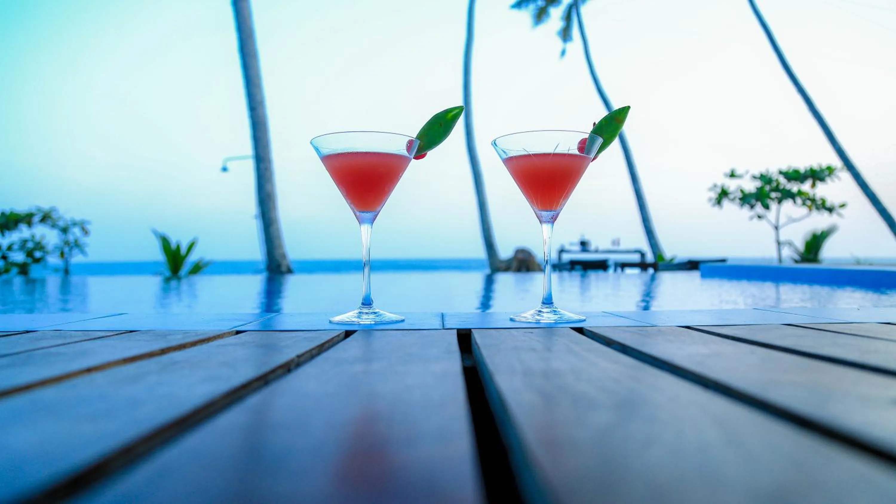 Garden in Villa Océane