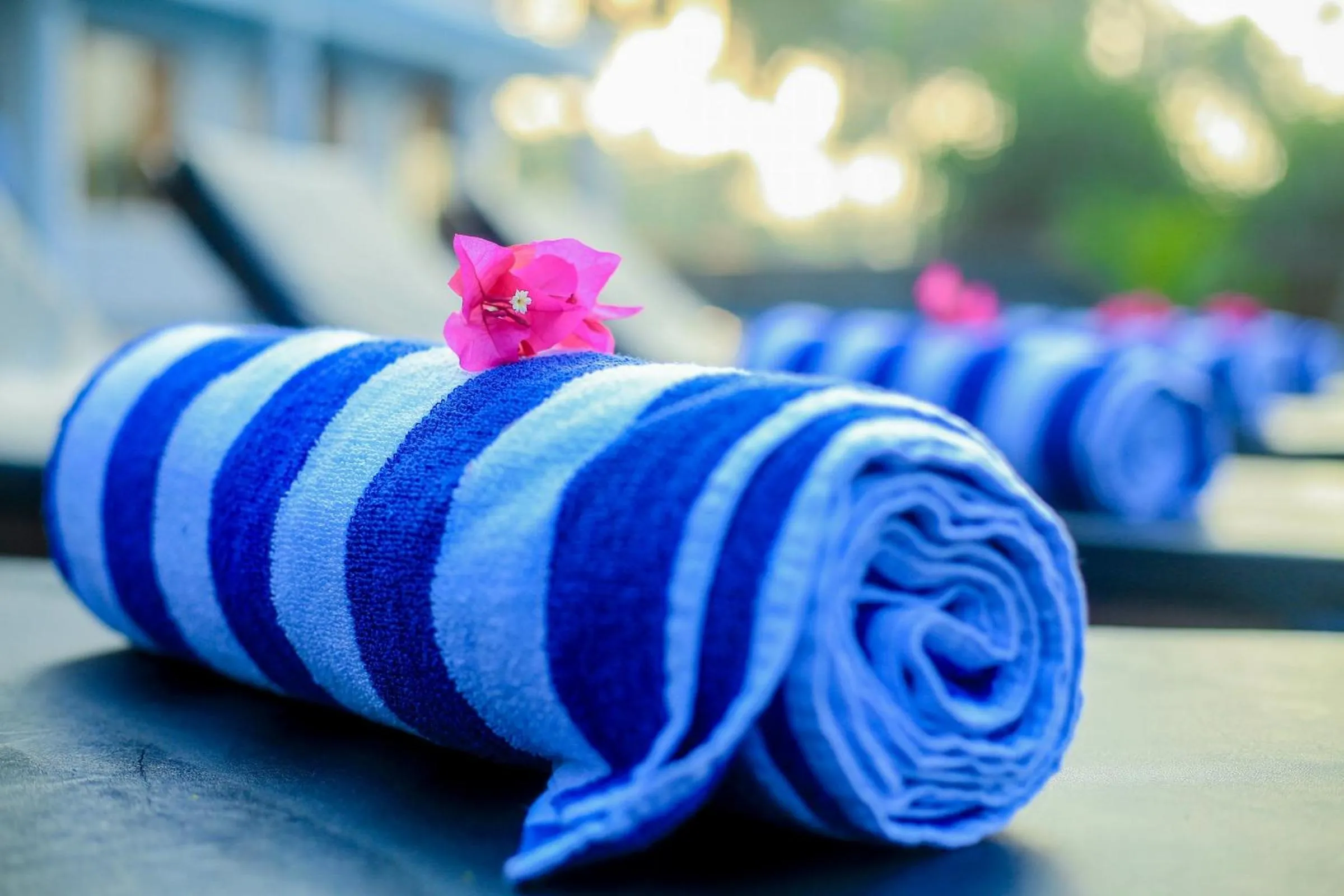 Area and facilities in Villa Océane