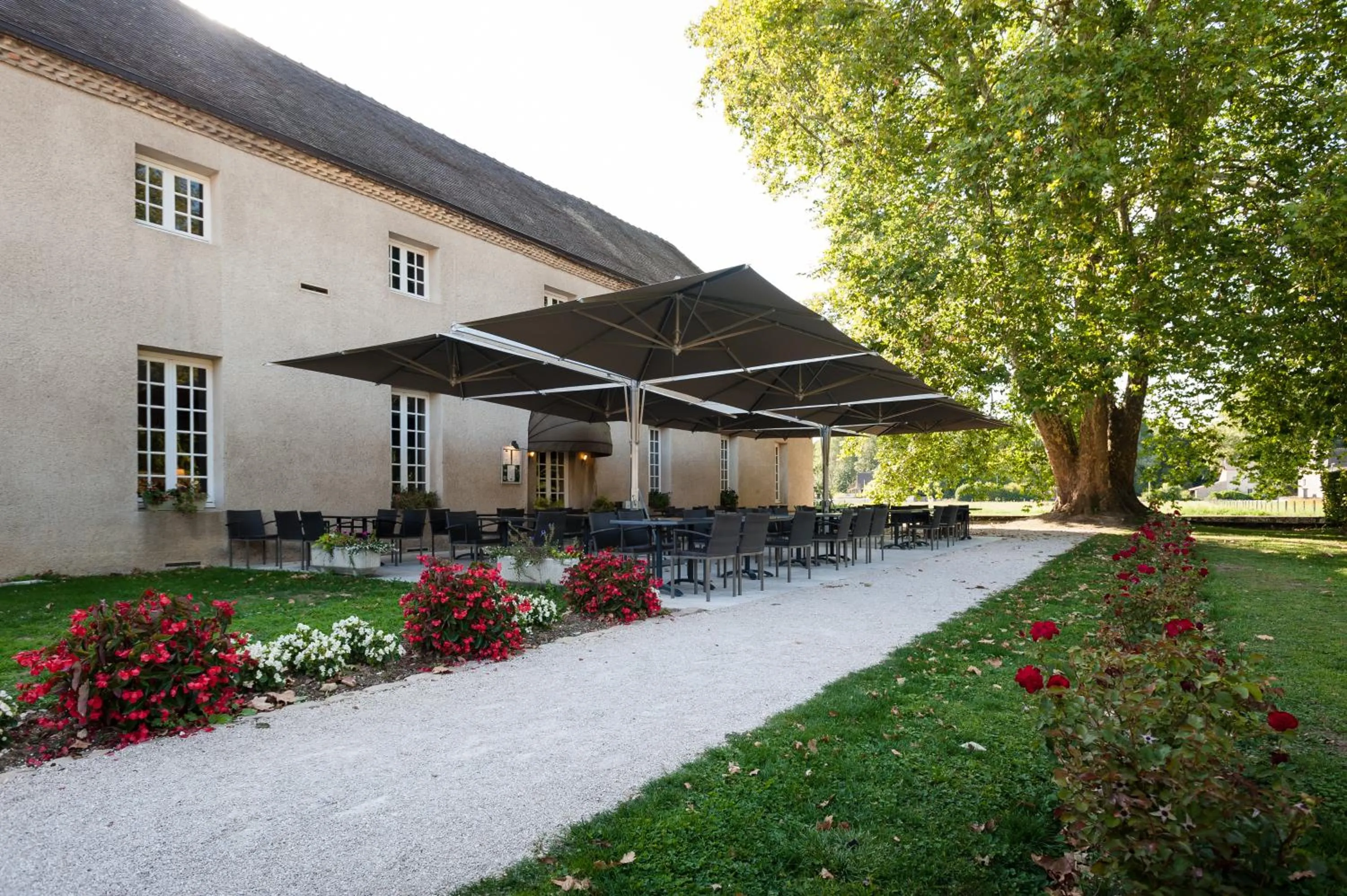 Patio in Château de Saulon