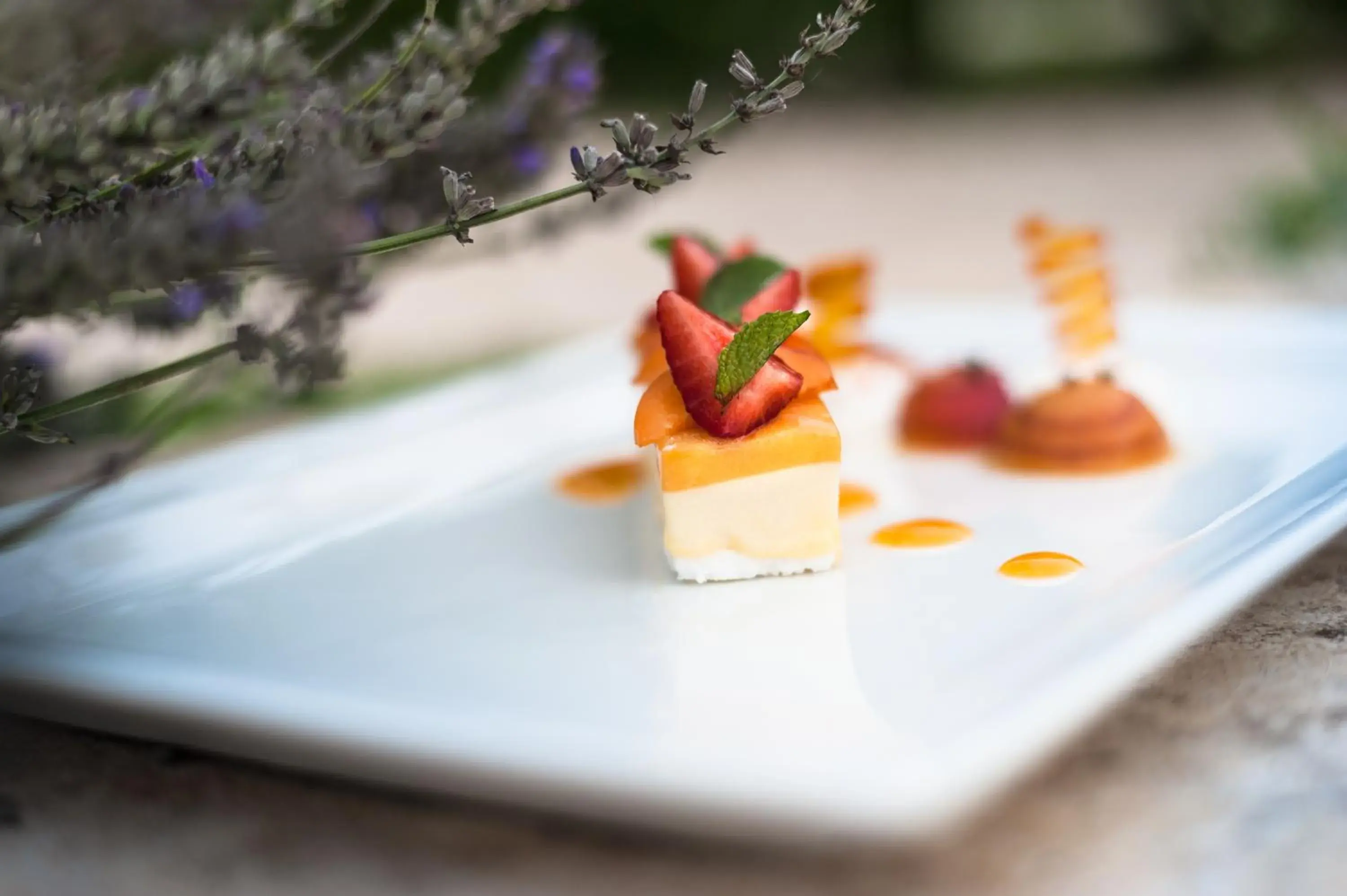 Restaurant/places to eat in Domaine de Saulon Restaurant/places to eat in Domaine de Saulon