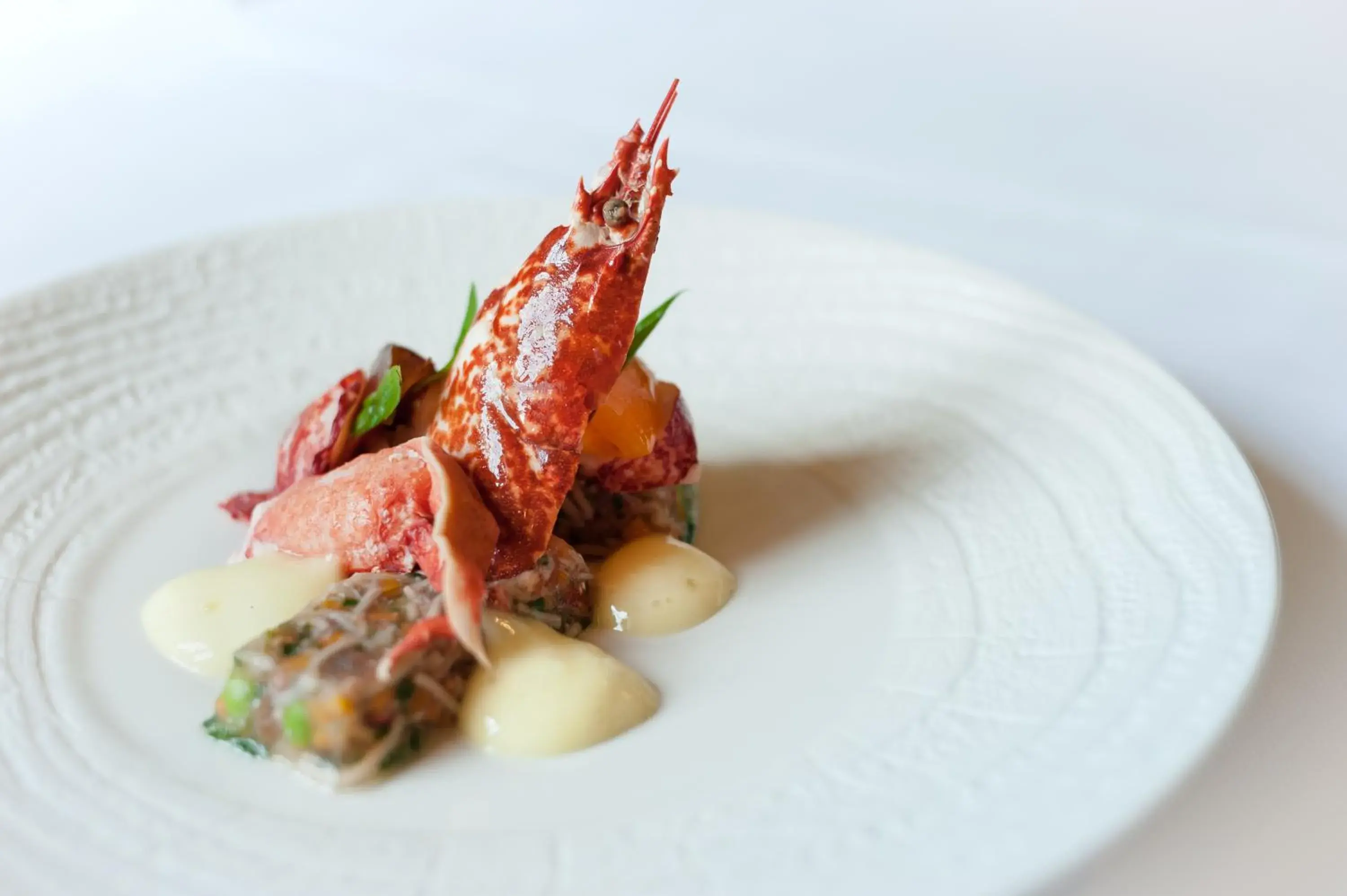 Restaurant/places to eat in Domaine de Saulon Restaurant/places to eat in Domaine de Saulon