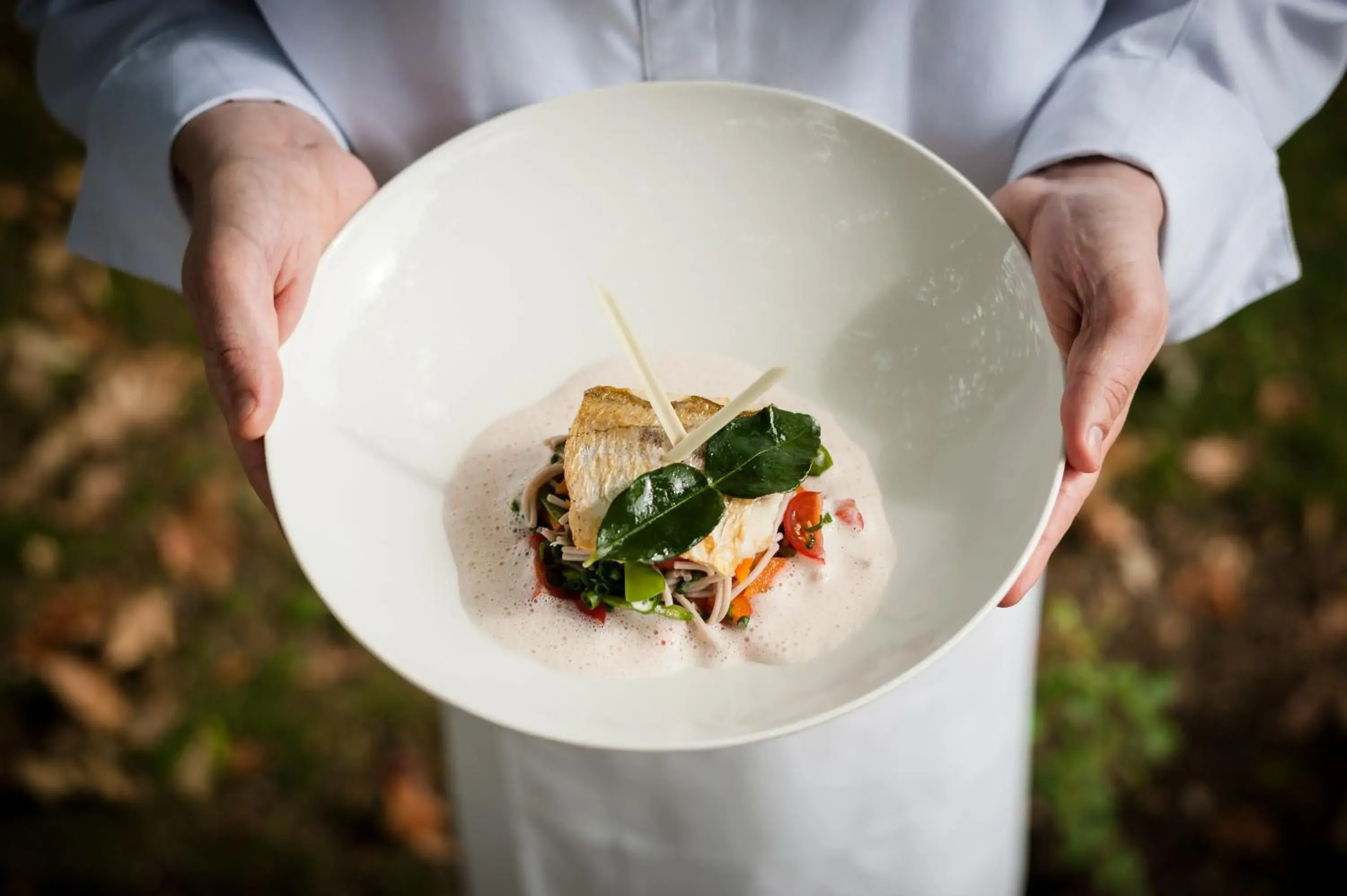 Restaurant/places to eat in Domaine de Saulon Restaurant/places to eat in Domaine de Saulon