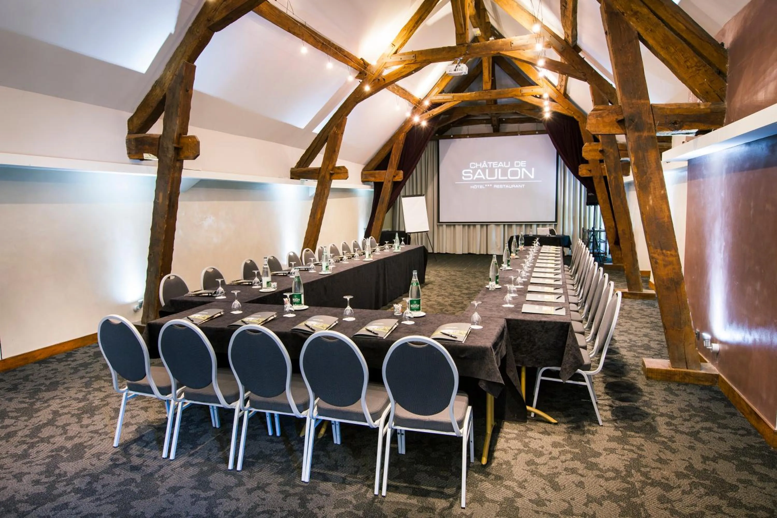 Business facilities in Château de Saulon