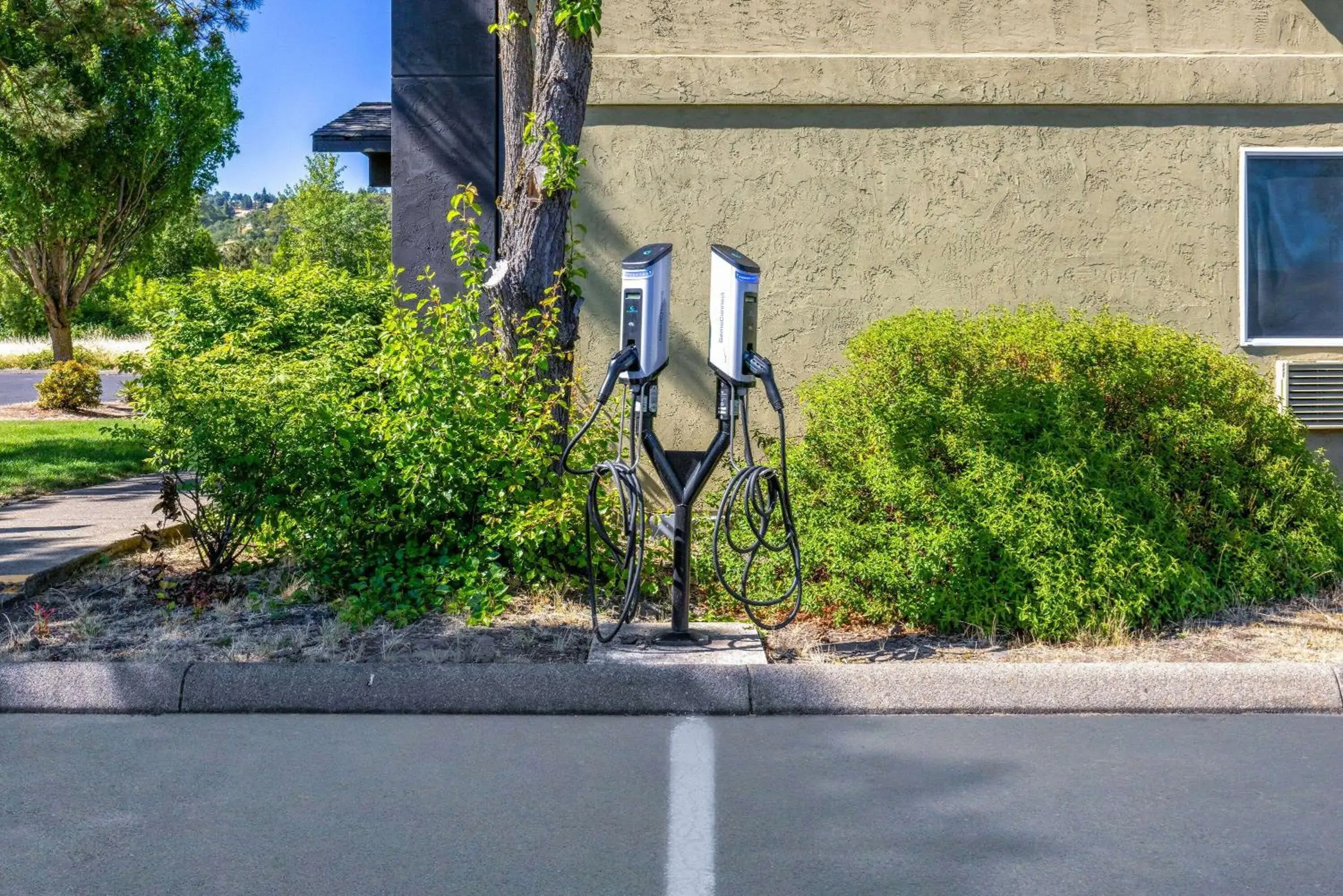 Property building in Super 8 by Wyndham Roseburg Property building in Super 8 by Wyndham Roseburg