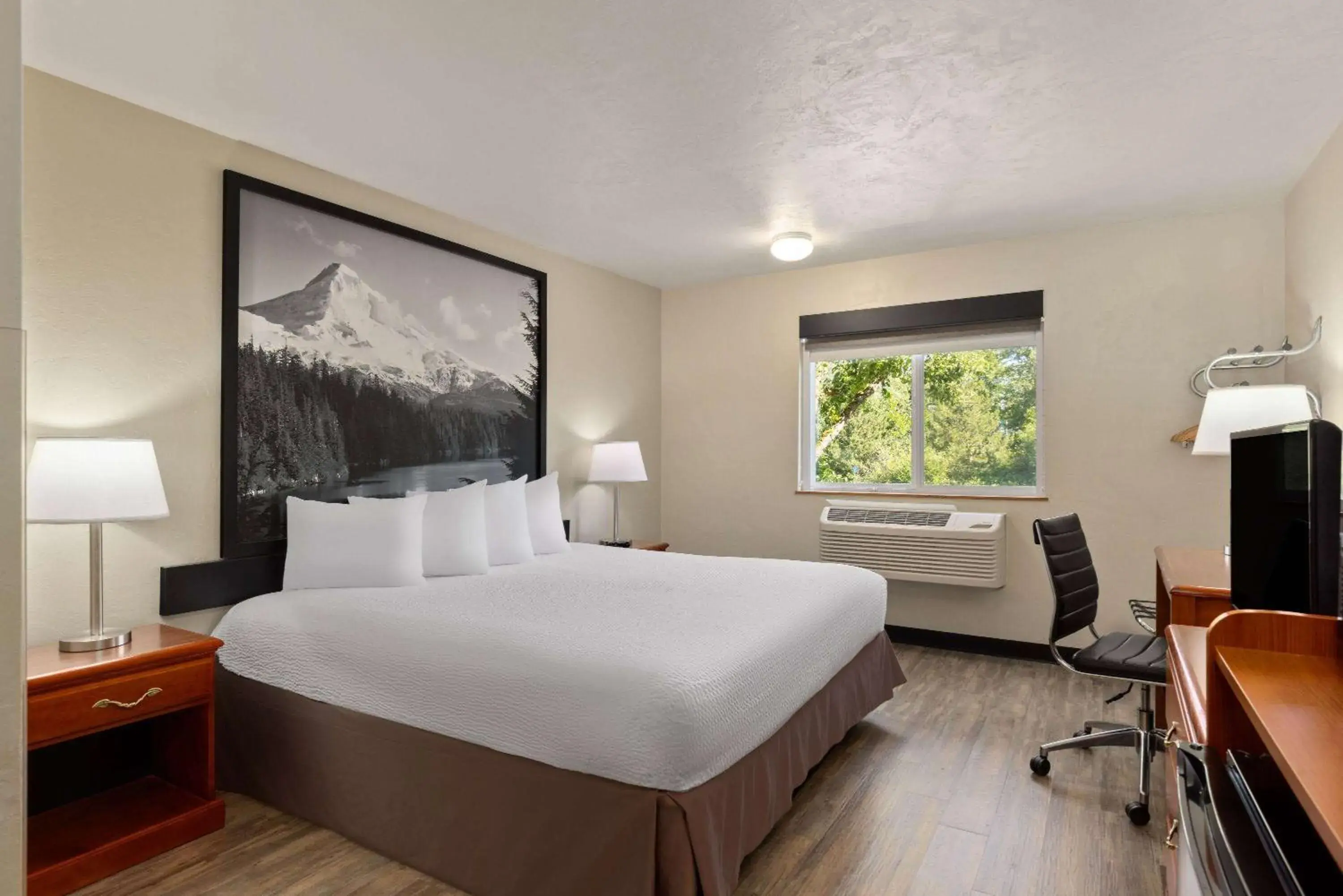King Room - Disability Access - Non-Smoking in Super 8 by Wyndham Roseburg King Room - Disability Access - Non-Smoking in Super 8 by Wyndham Roseburg