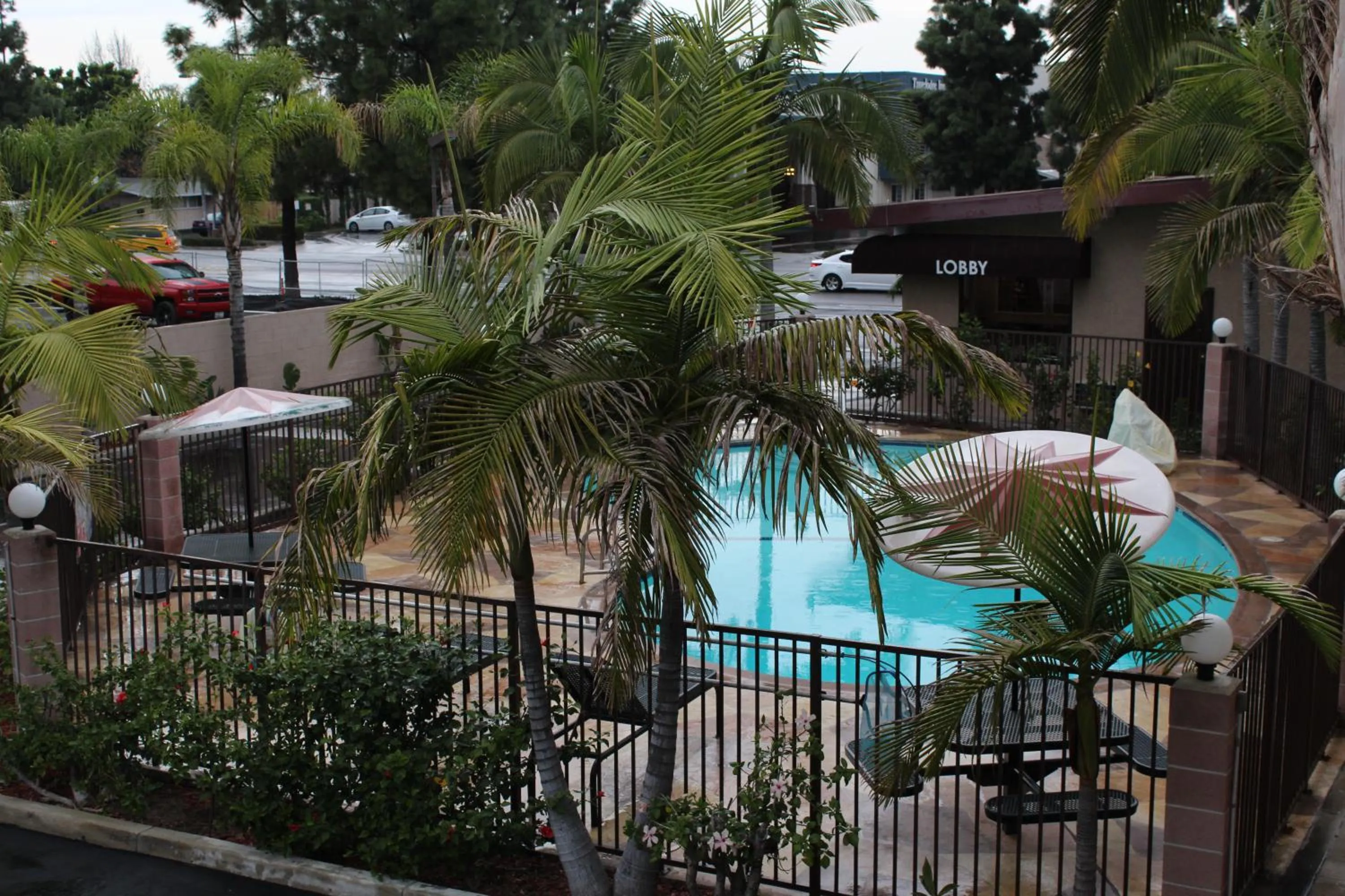 Natural landscape in Budget Inn Anaheim near Disneyland Drive