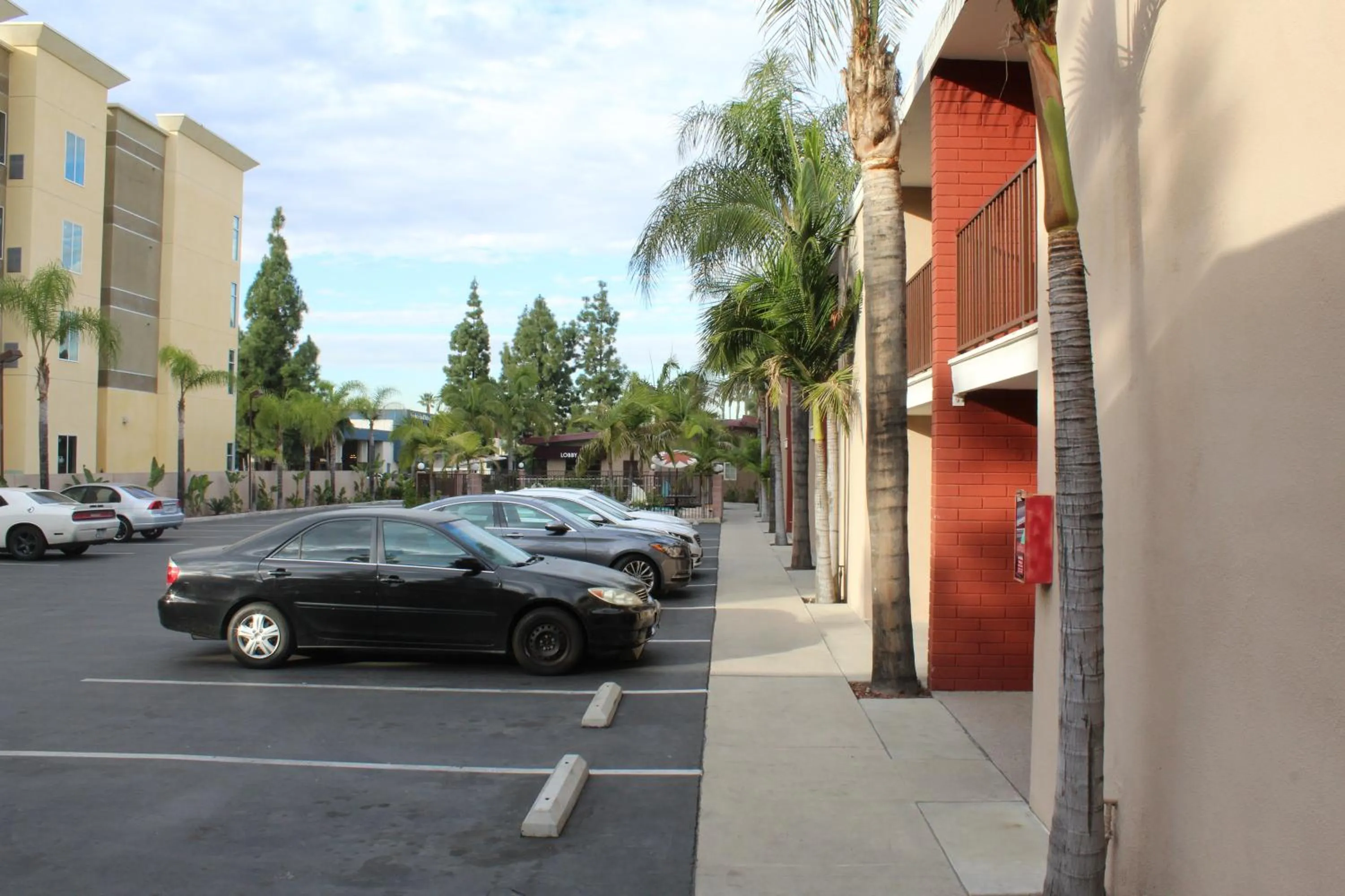 Area and facilities in Budget Inn Anaheim near Disneyland Drive