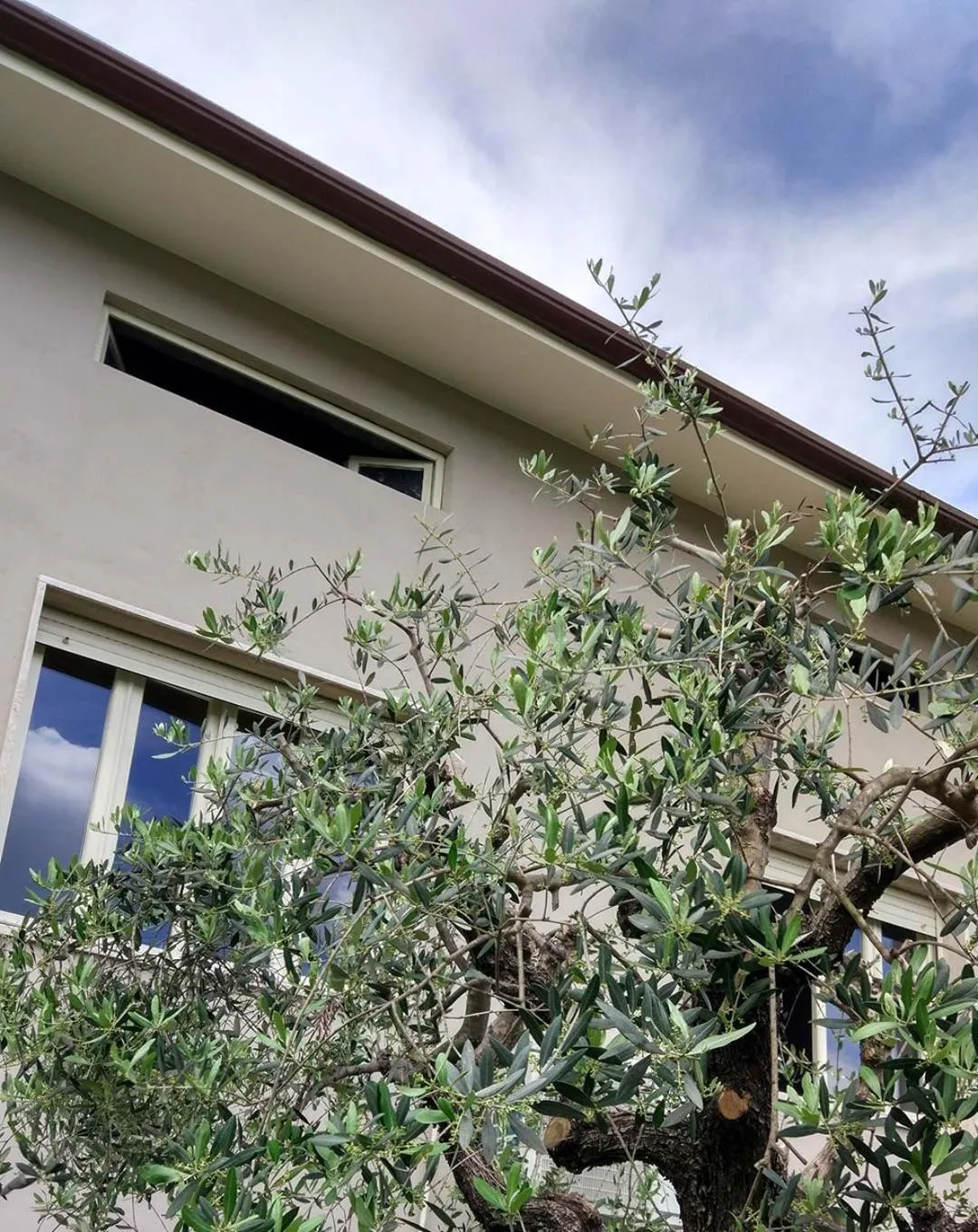 Garden view in La Locanda Francigena