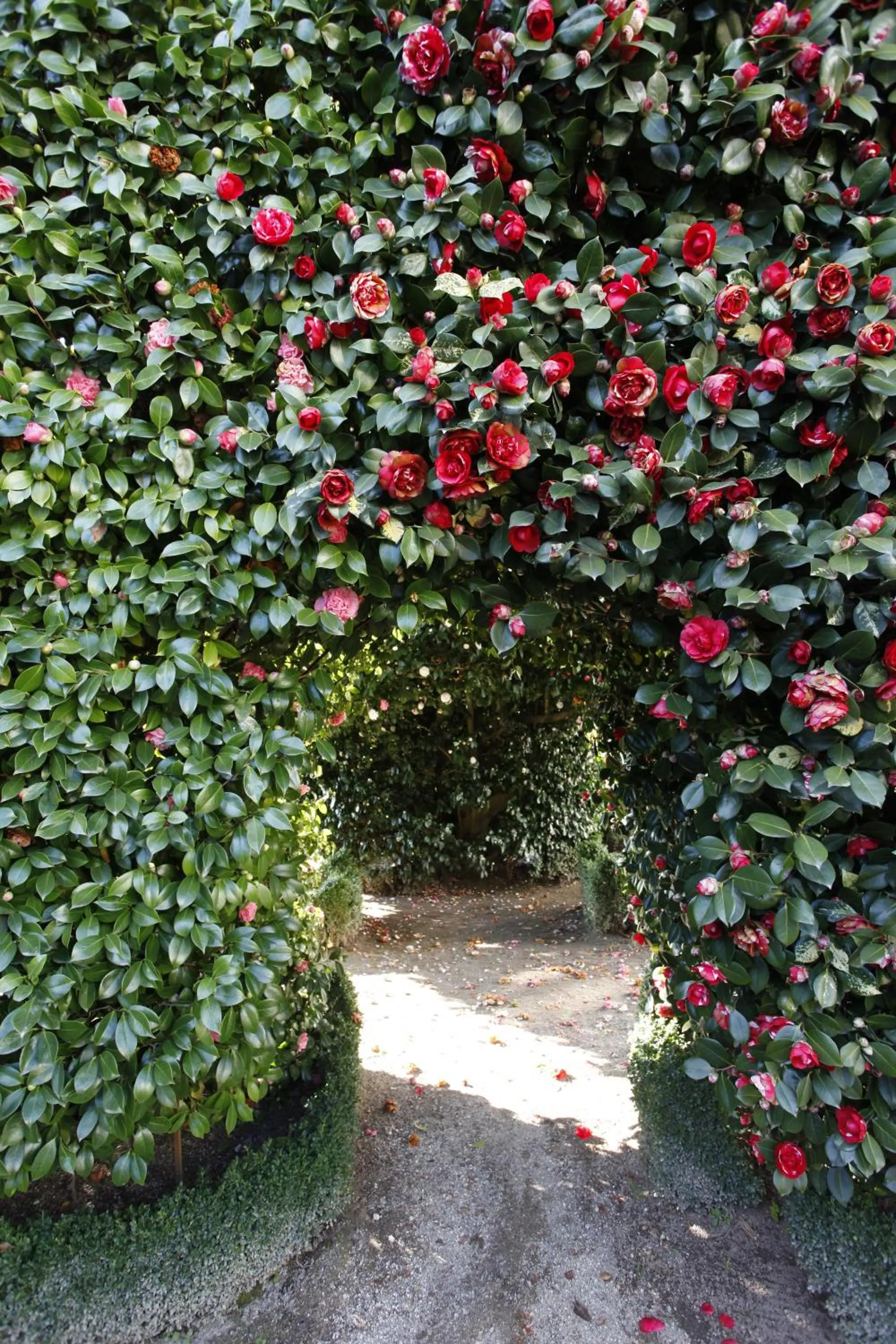 Garden in Parador Casa Da Insua