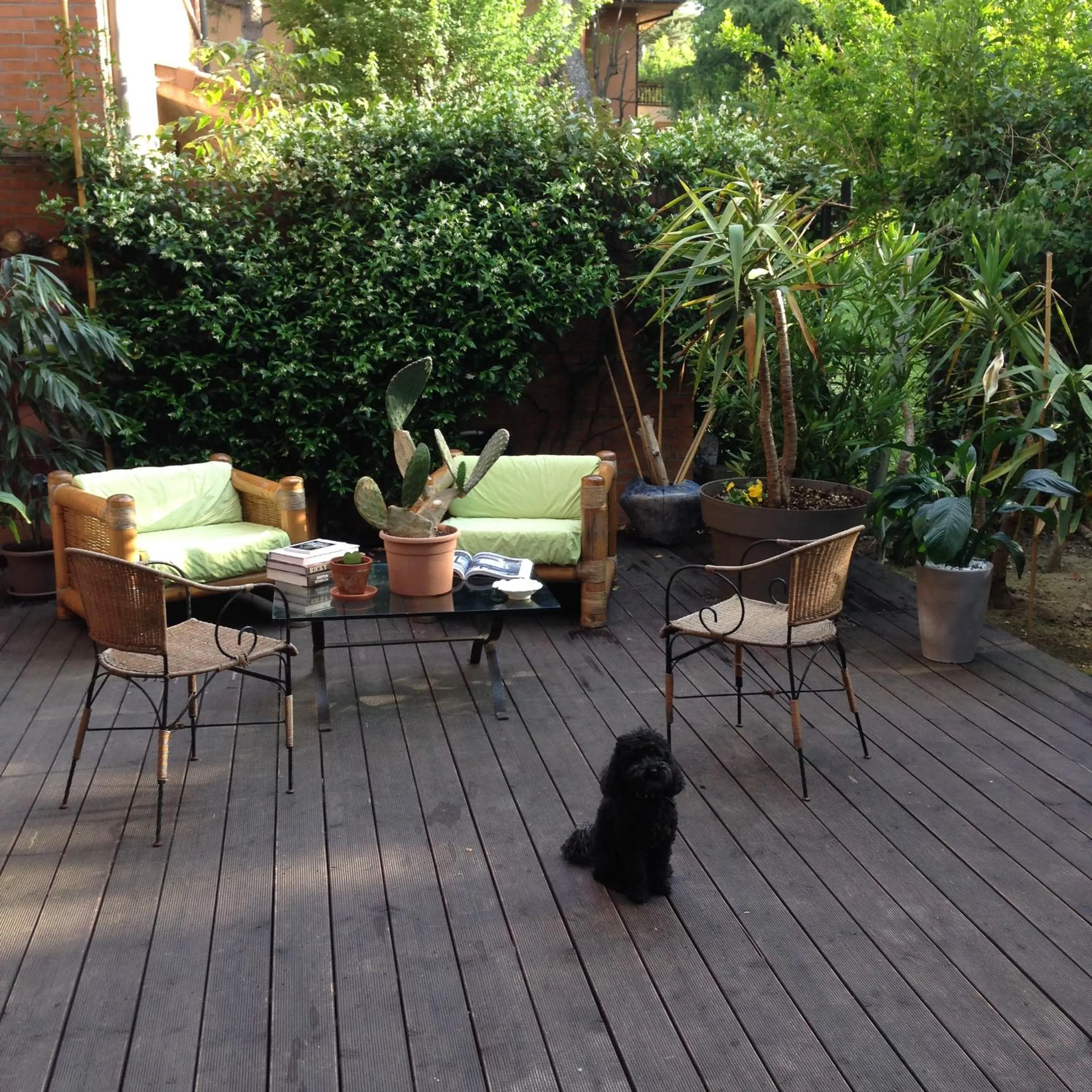 Garden in B&B Il Picchio