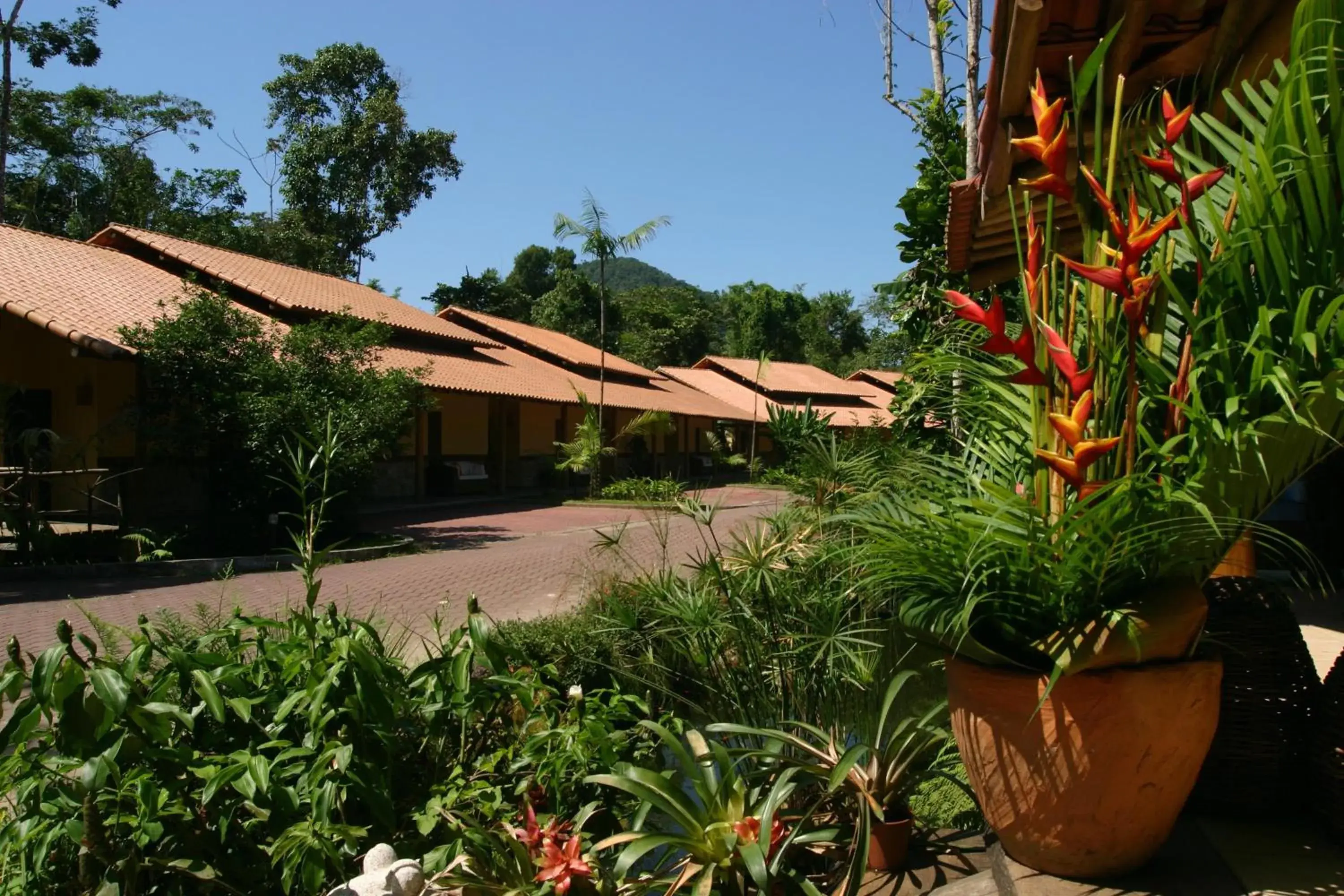 Apartamento Master Duplo - single occupancy in Itamambuca Eco Resort Apartamento Master Duplo - single occupancy in Itamambuca Eco Resort