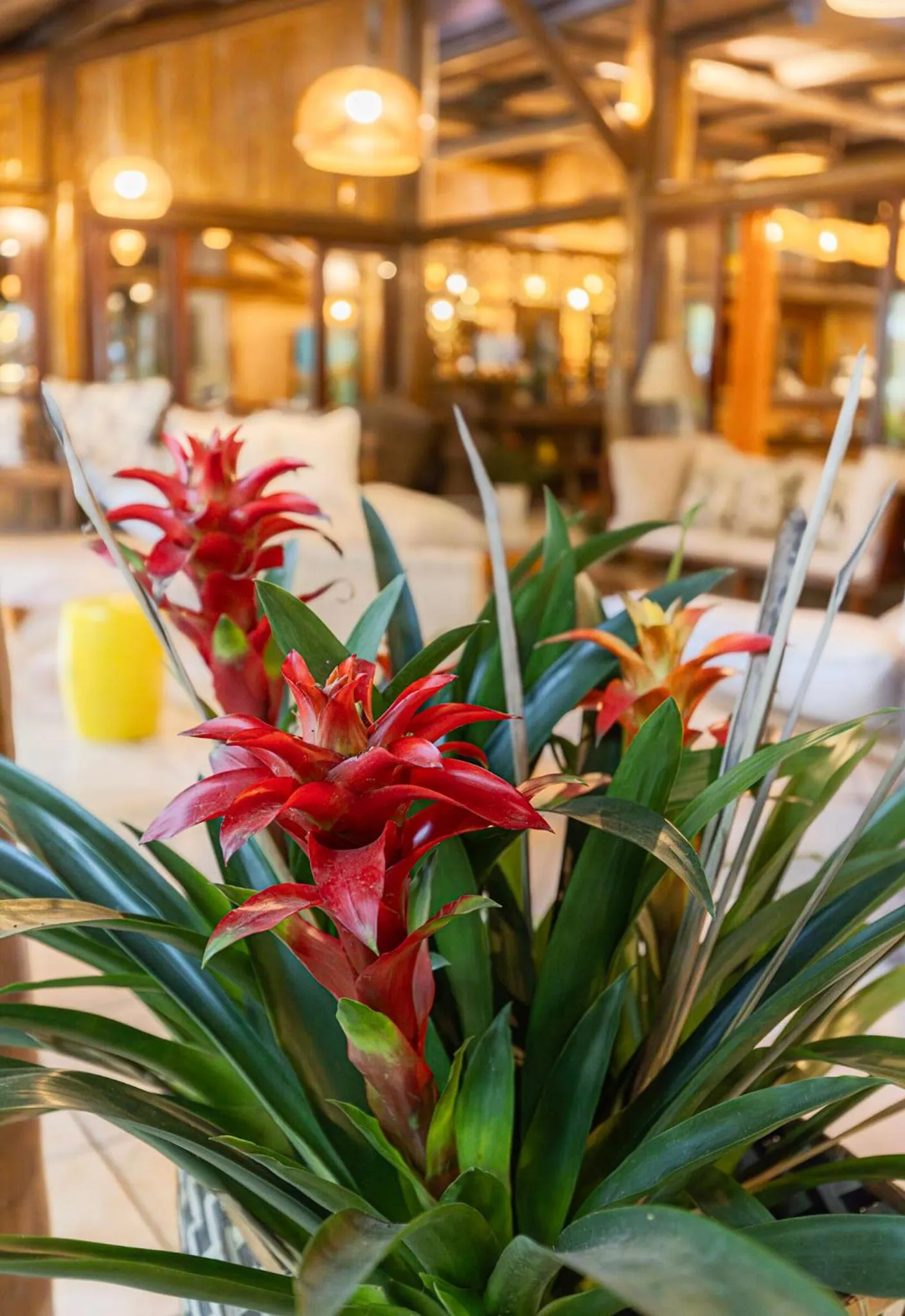 Property building in Itamambuca Eco Resort