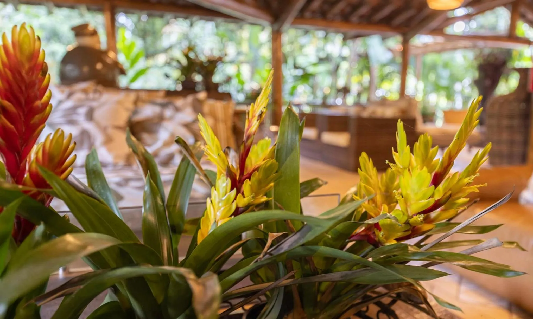 Property building in Itamambuca Eco Resort