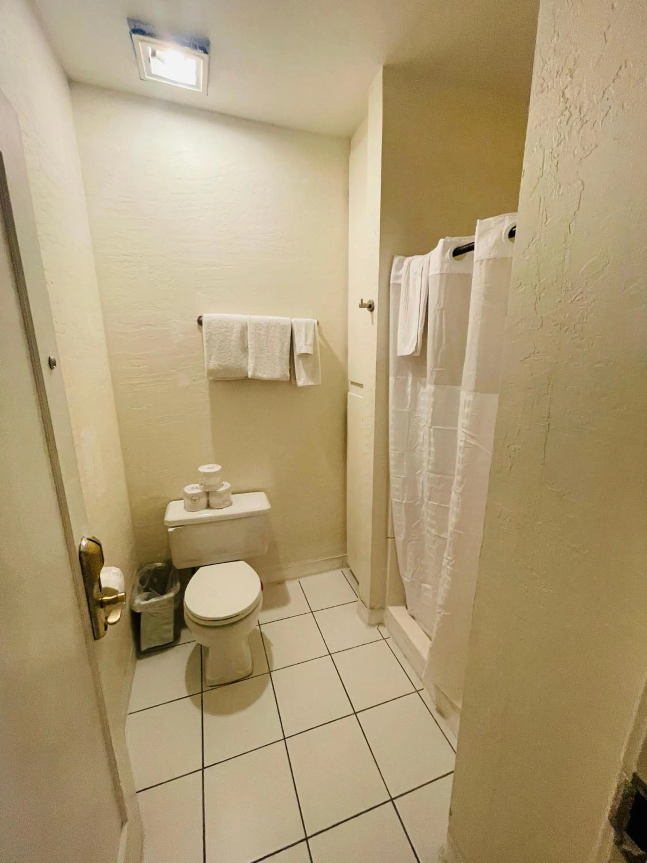 Shower in Americas Best Value Inn Royal Carriage
