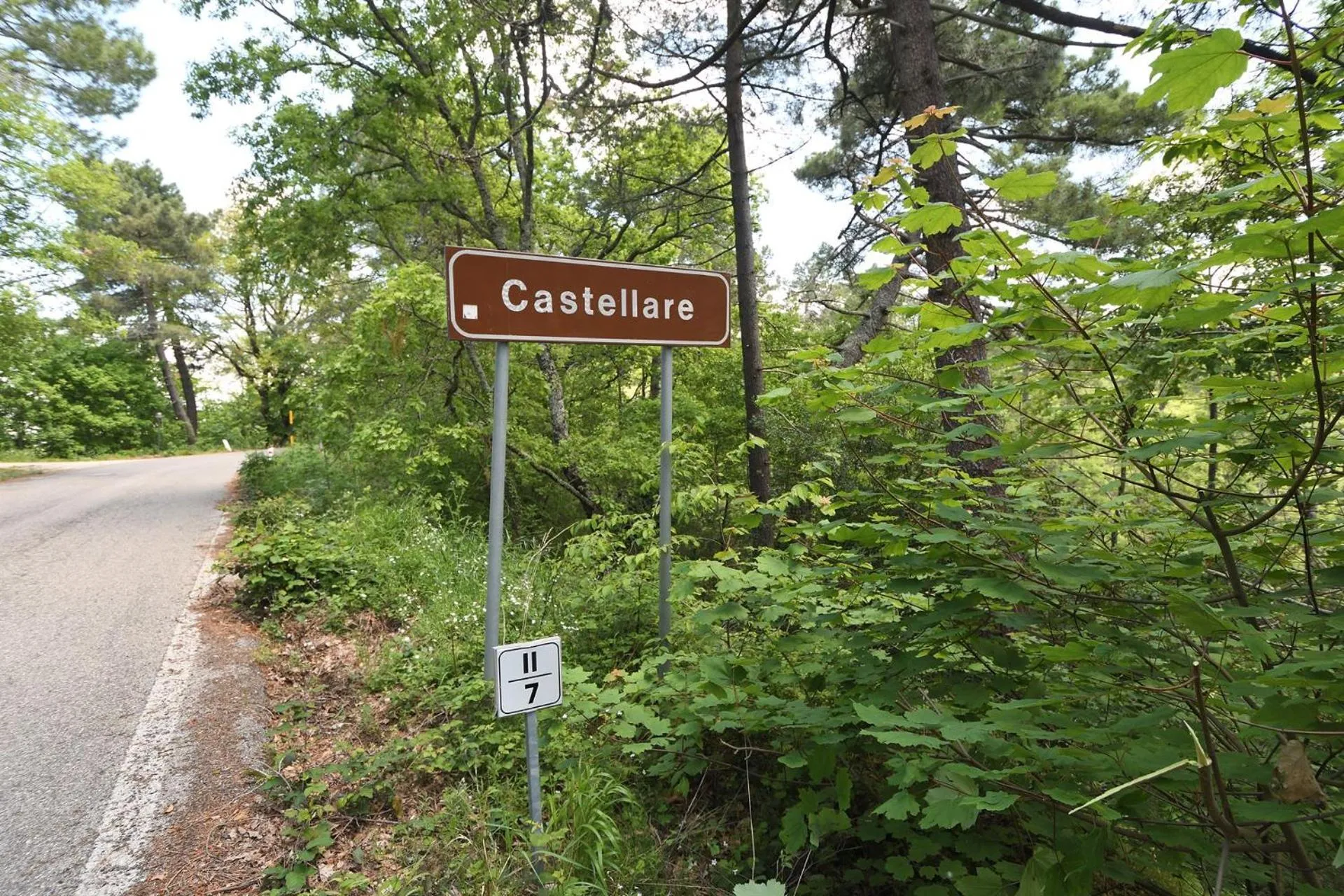 Castellare in Chianti