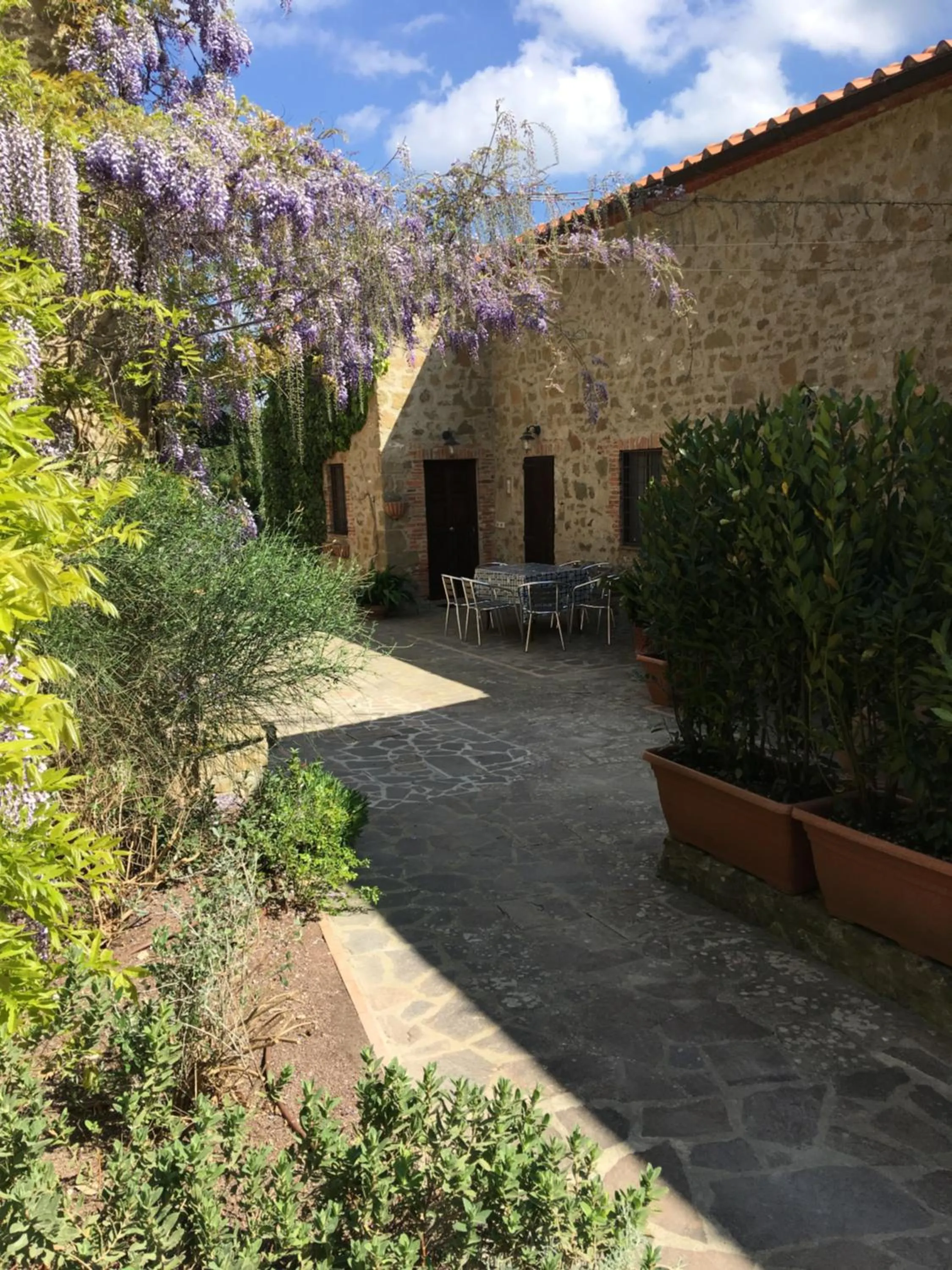 View (from property/room) in Castellare in Chianti