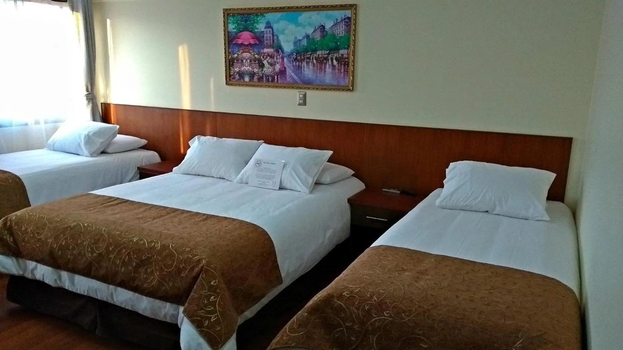 Standard Triple Room in Hotel Newen