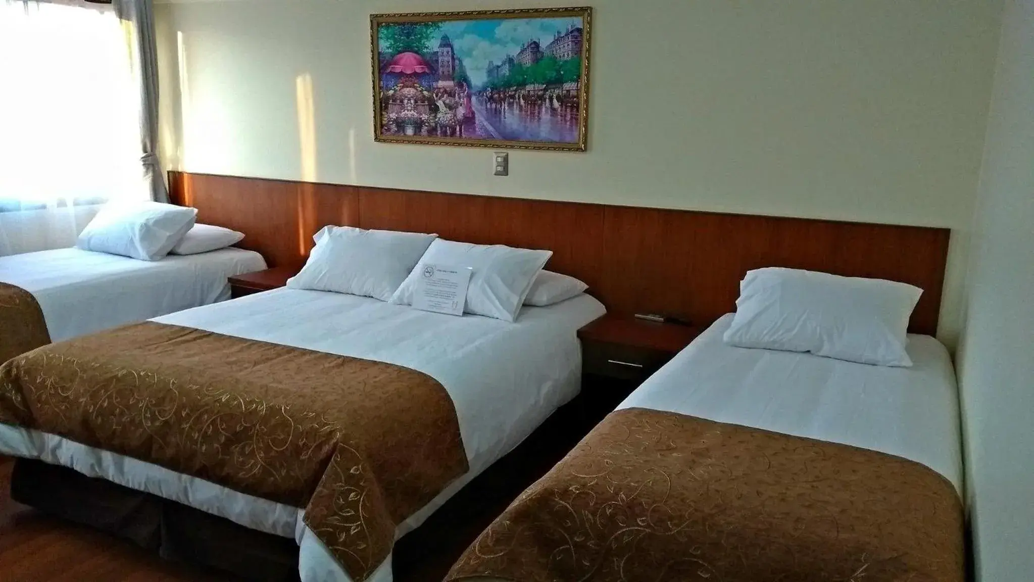 Standard Triple Room in Hotel Newen Standard Triple Room in Hotel Newen