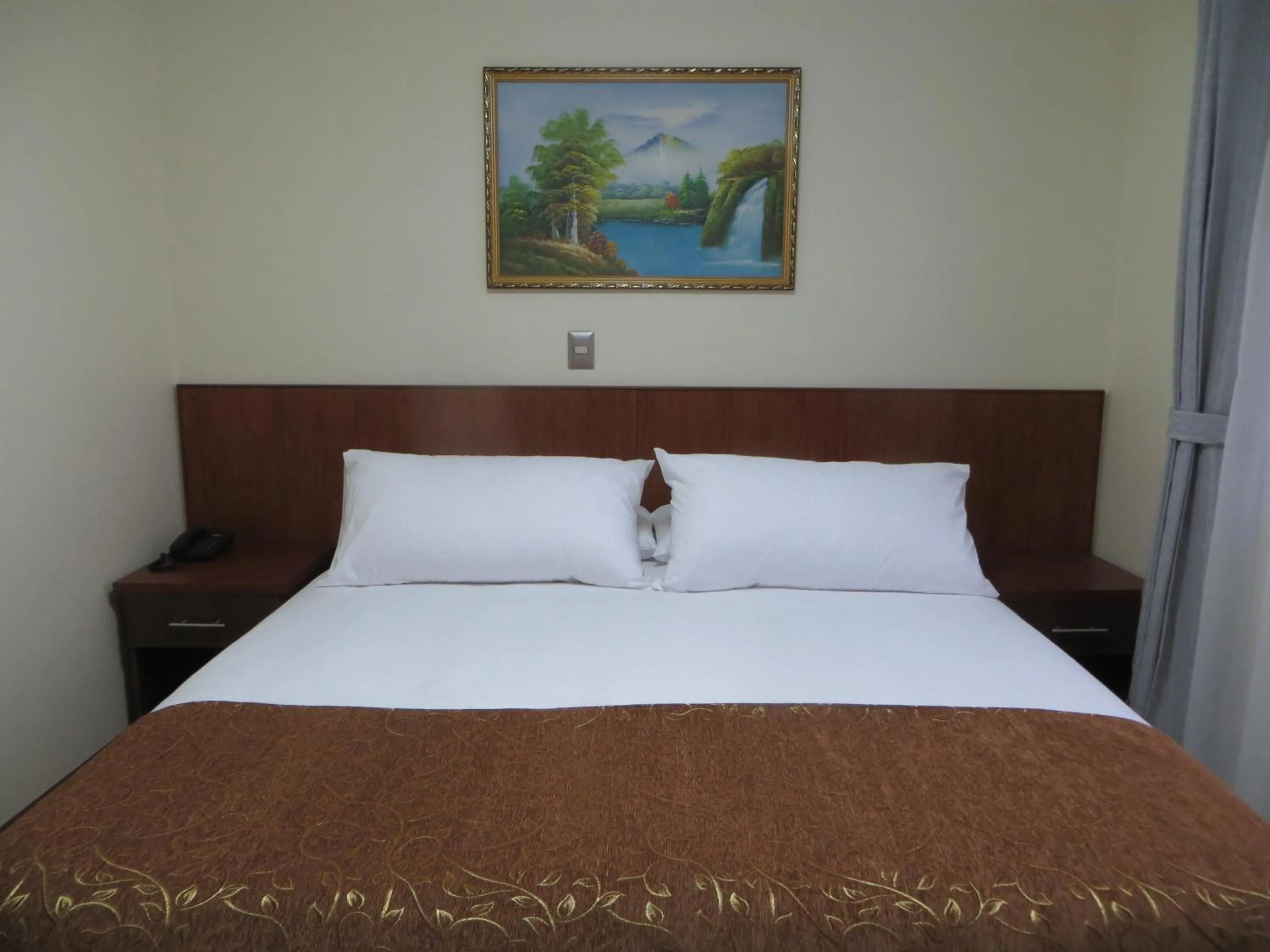 Hotel Newen