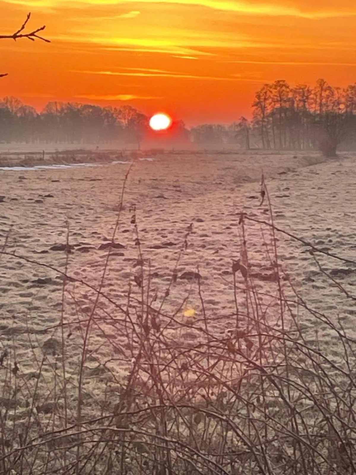 Natural landscape in Gretes Hof