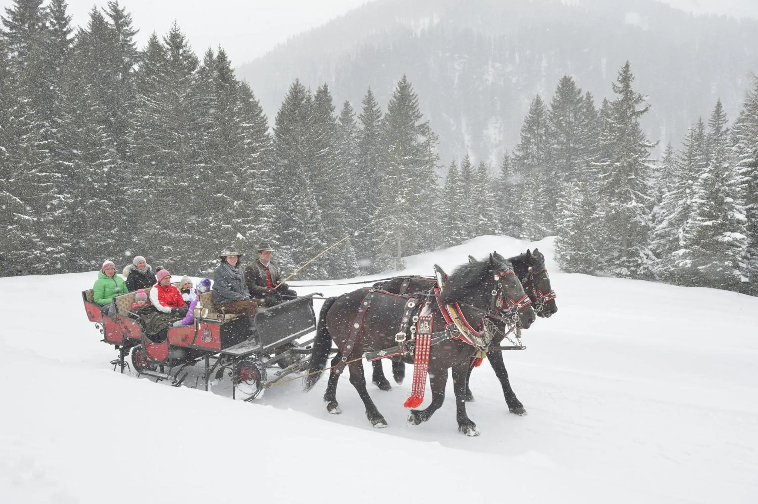 Activities in Hotel Maiensee