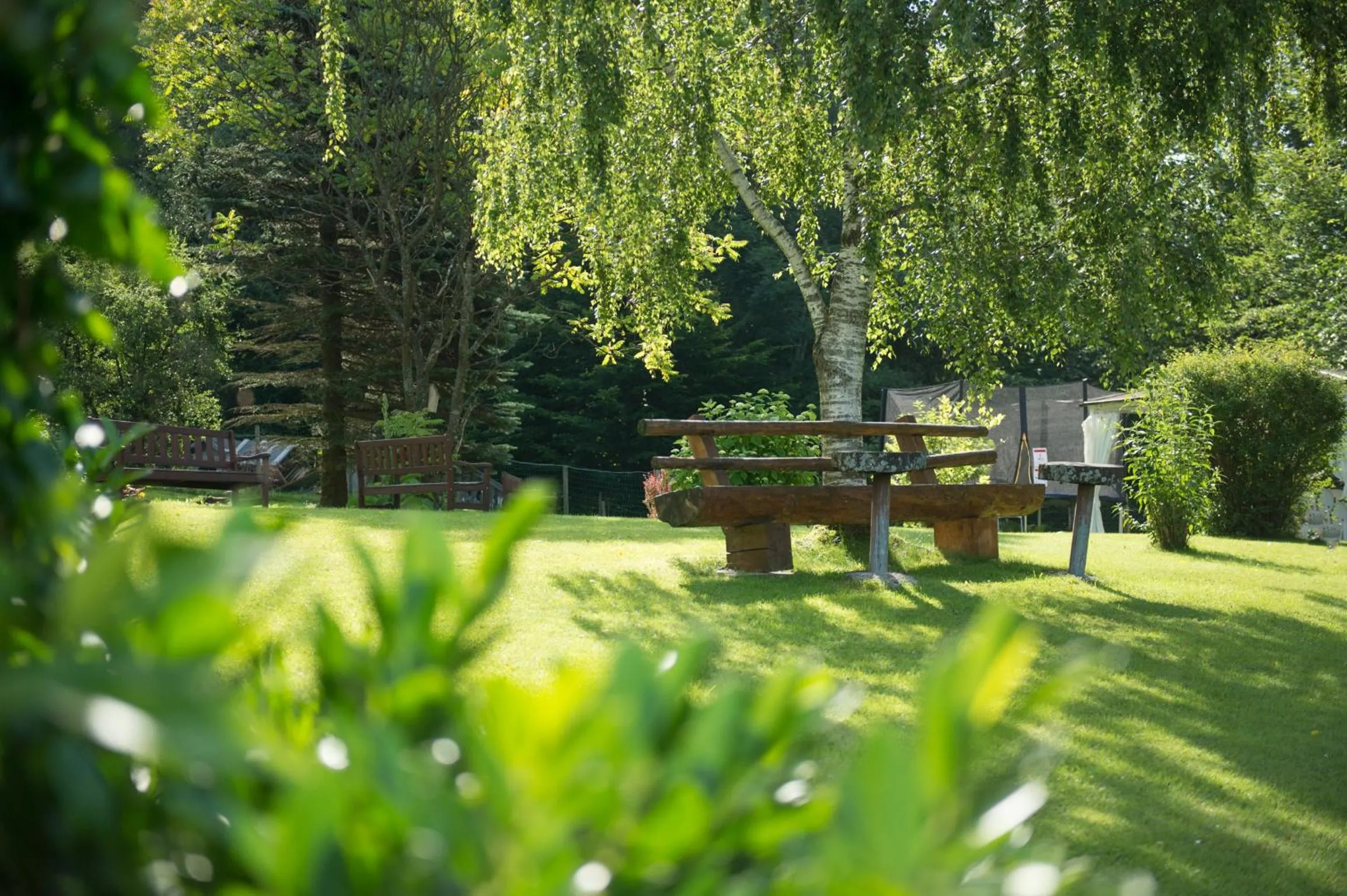 Garden in Pension Irlingerhof