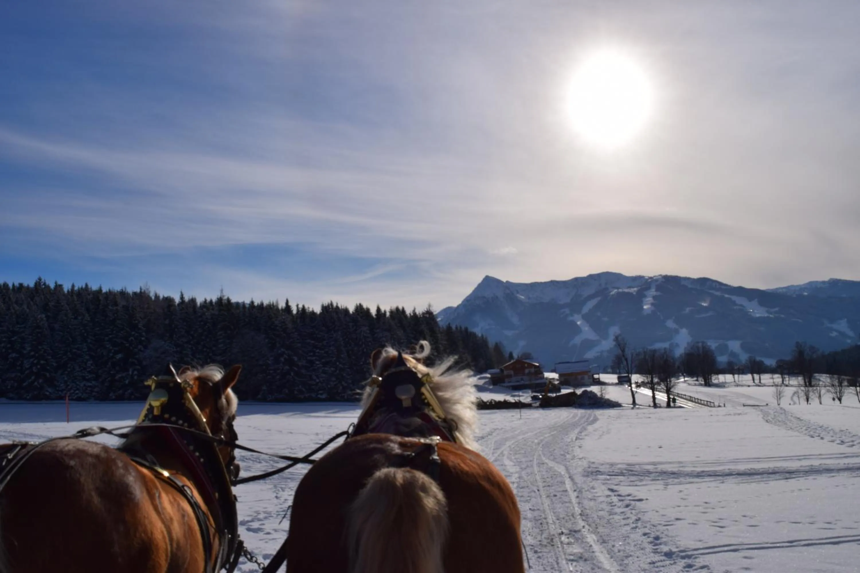 Winter in Pension Irlingerhof
