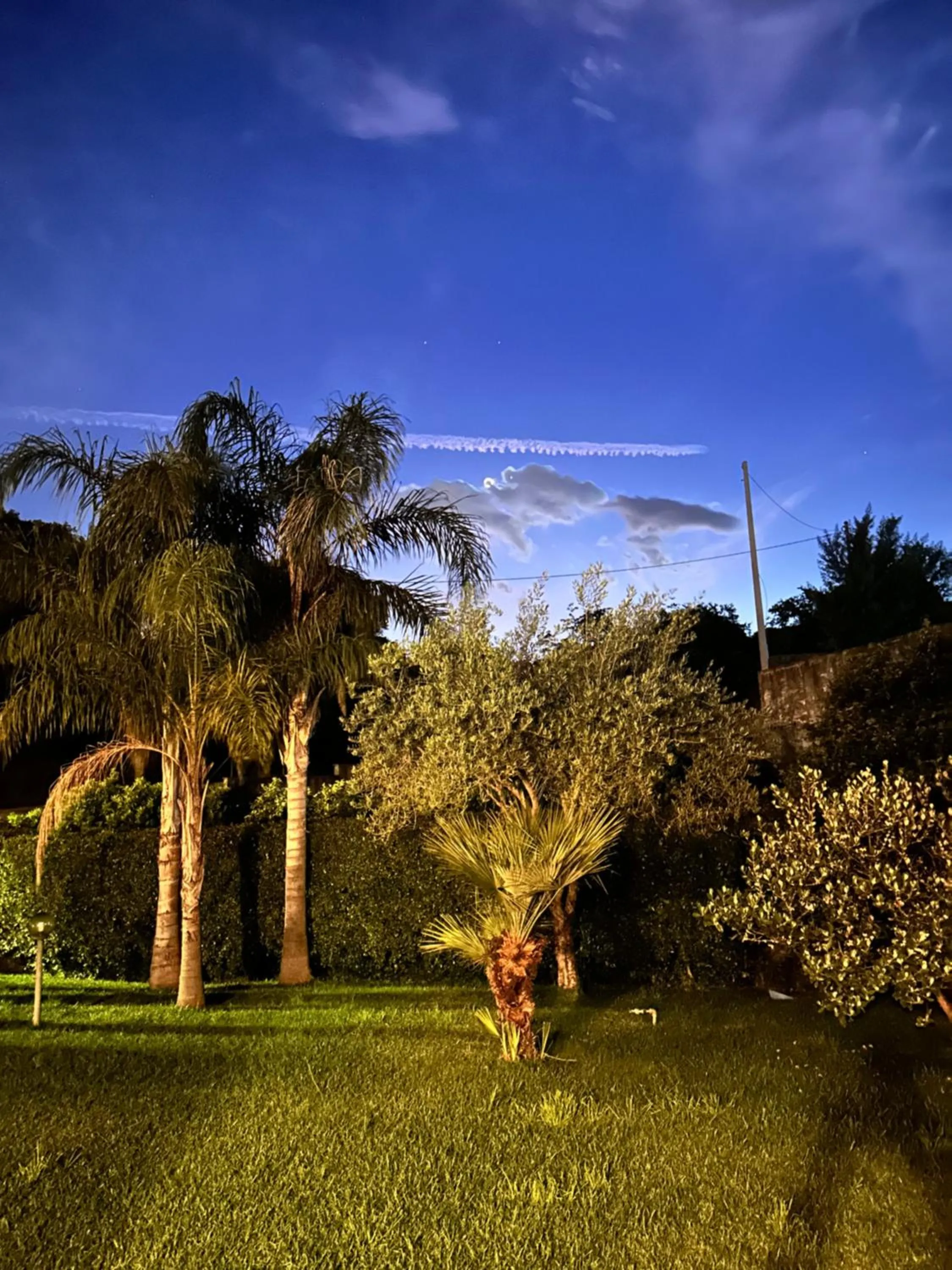 Garden view in Villa Feluchia Tra Il Mare E Il Vulcano