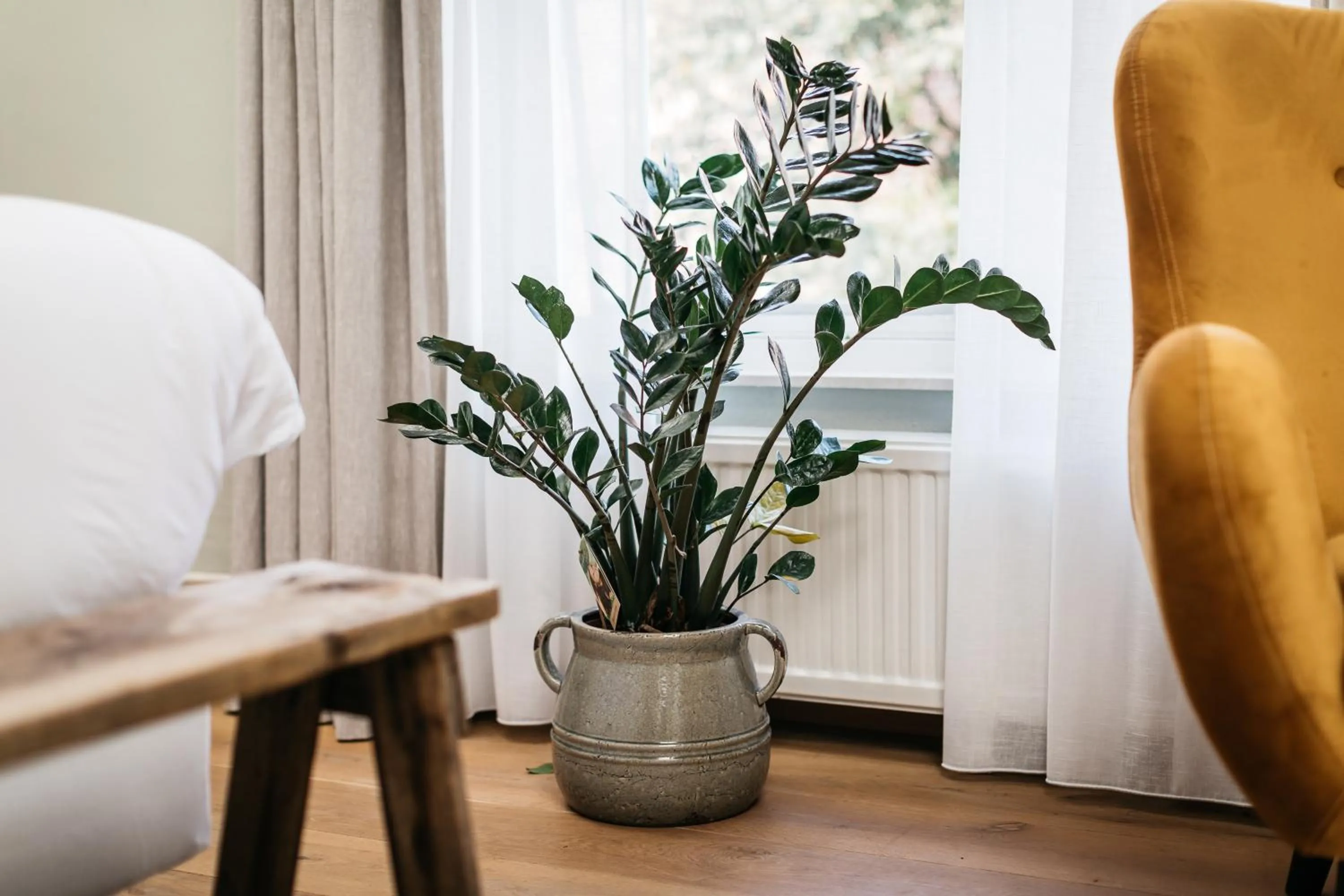 Decorative detail in De Verwennerie