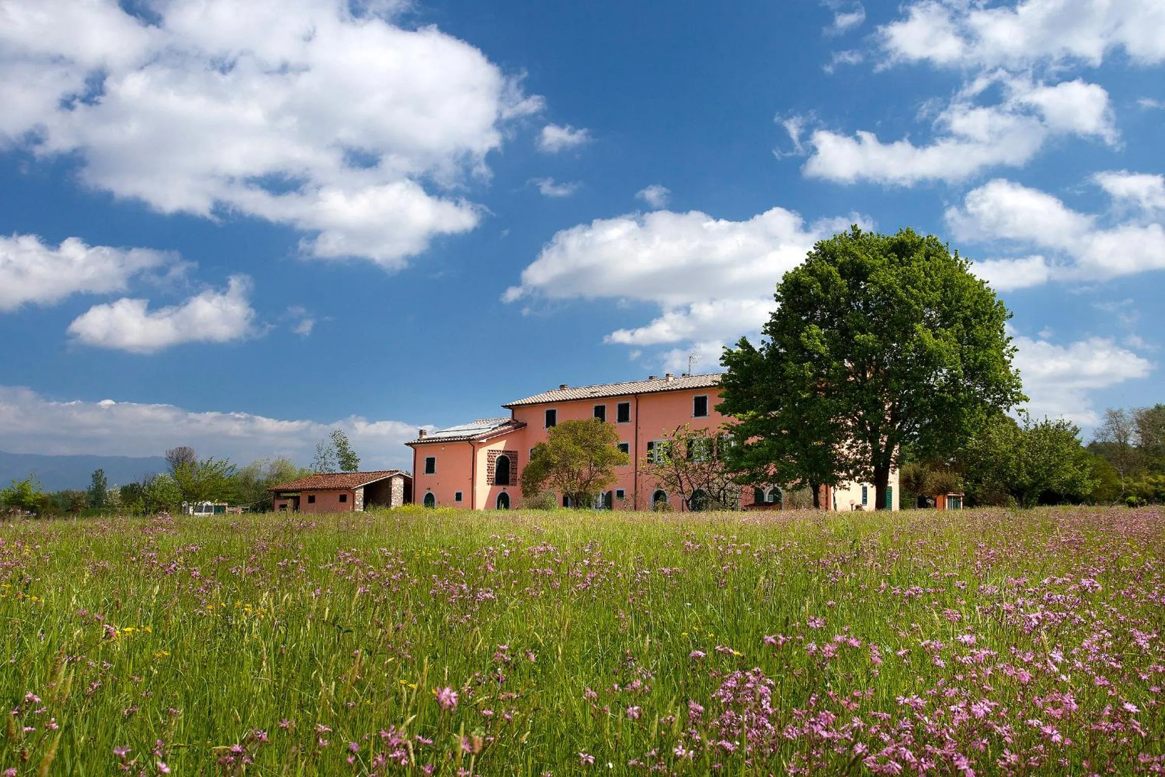 Facade/entrance in Tenuta San Giovanni Lucca