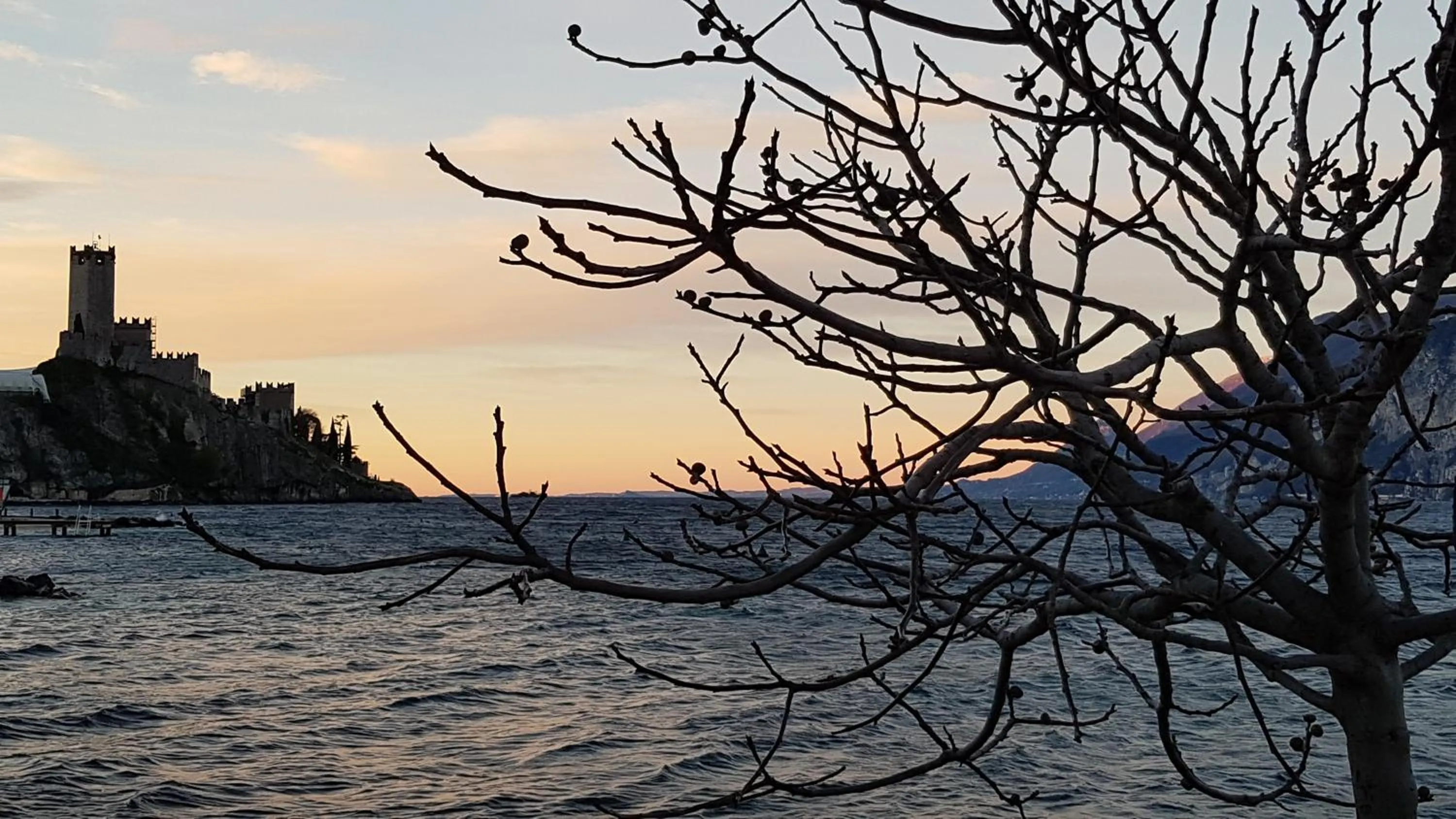 Natural landscape in Hotel Catullo