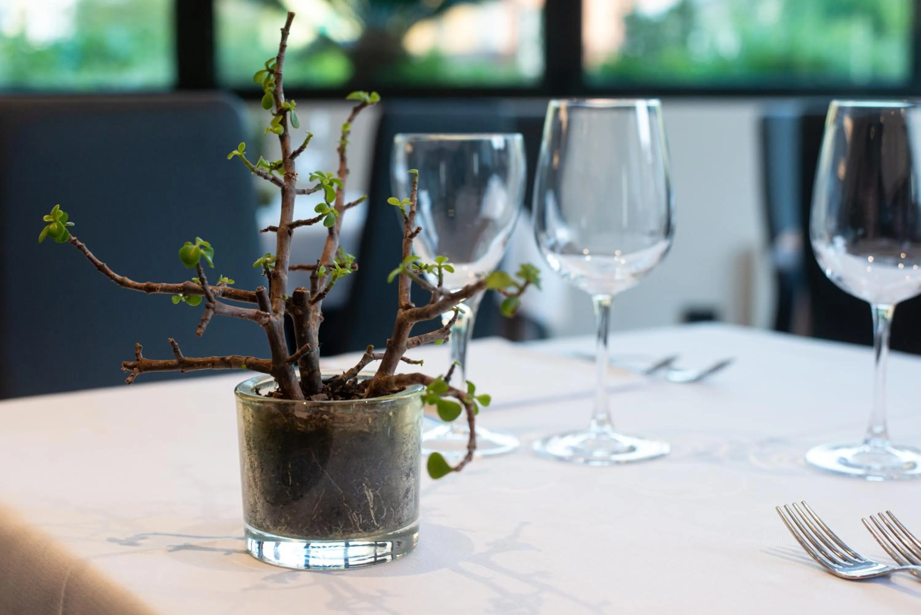 Restaurant/places to eat in Hotel De Nac