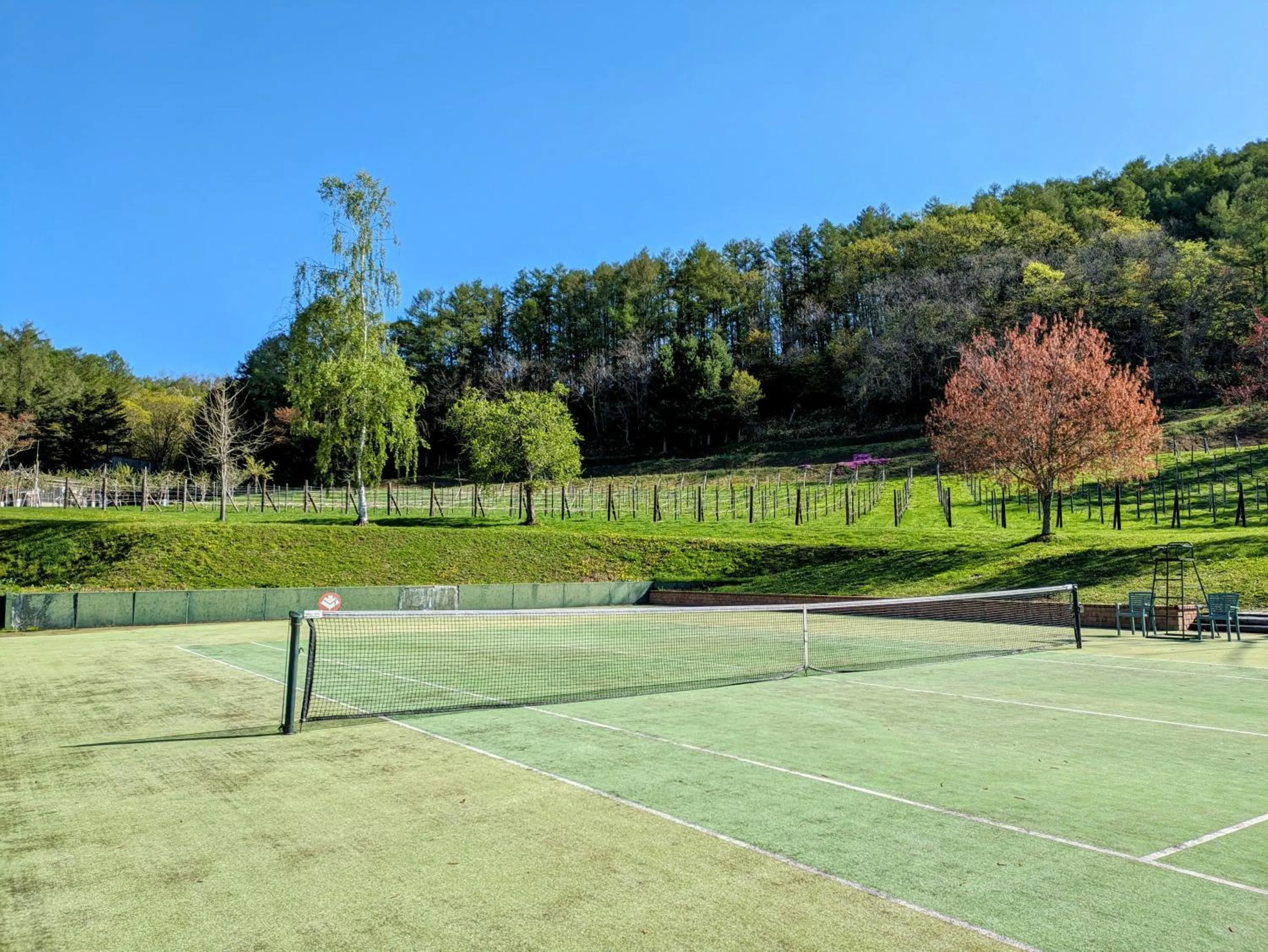 Tennis court in Log Hotel The Maple Lodge