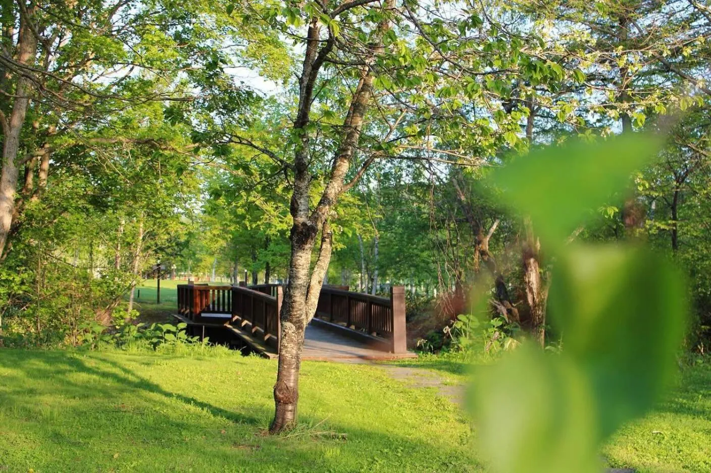 Log Hotel The Maple Lodge