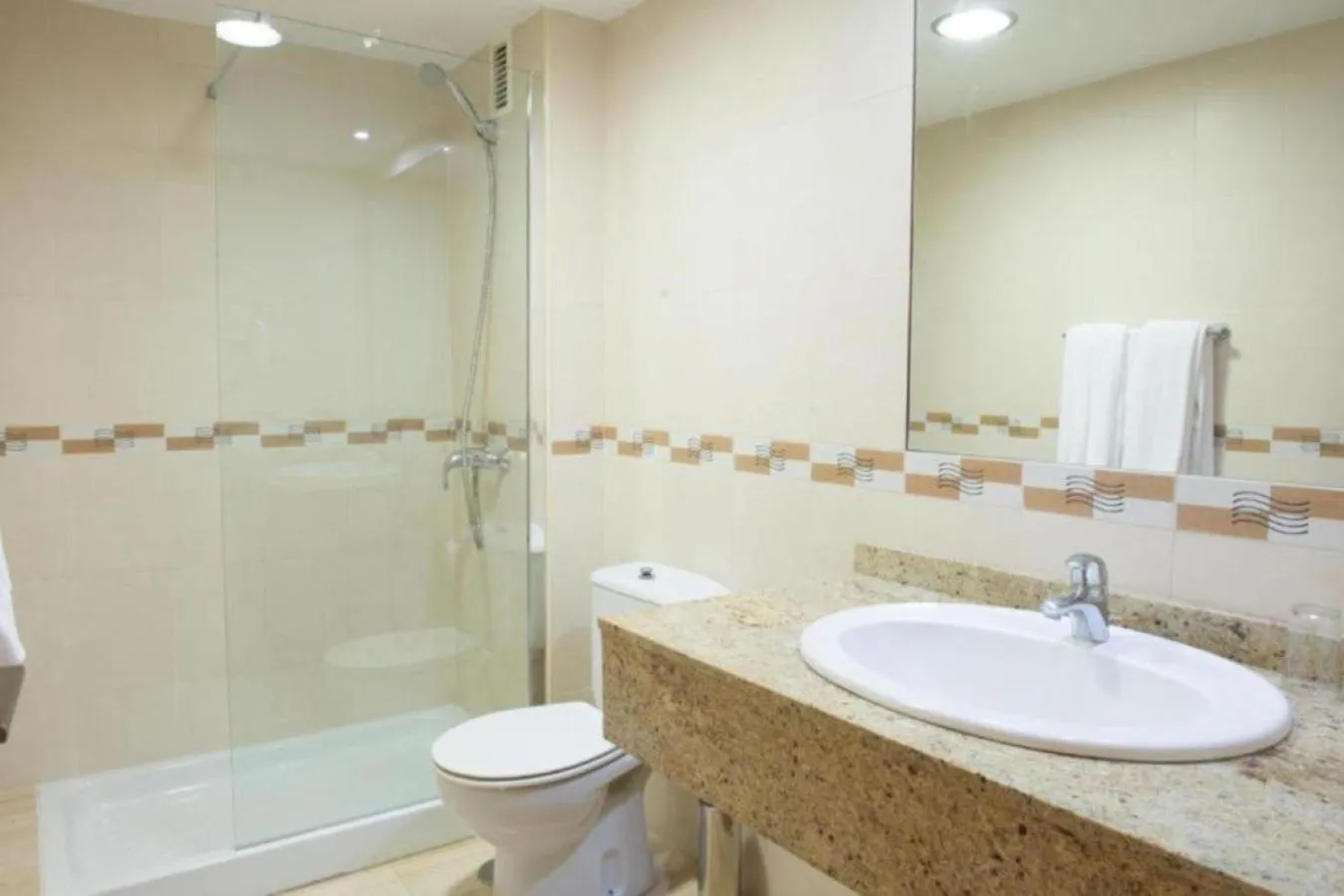 Toilet in Apartamentos El Palmar