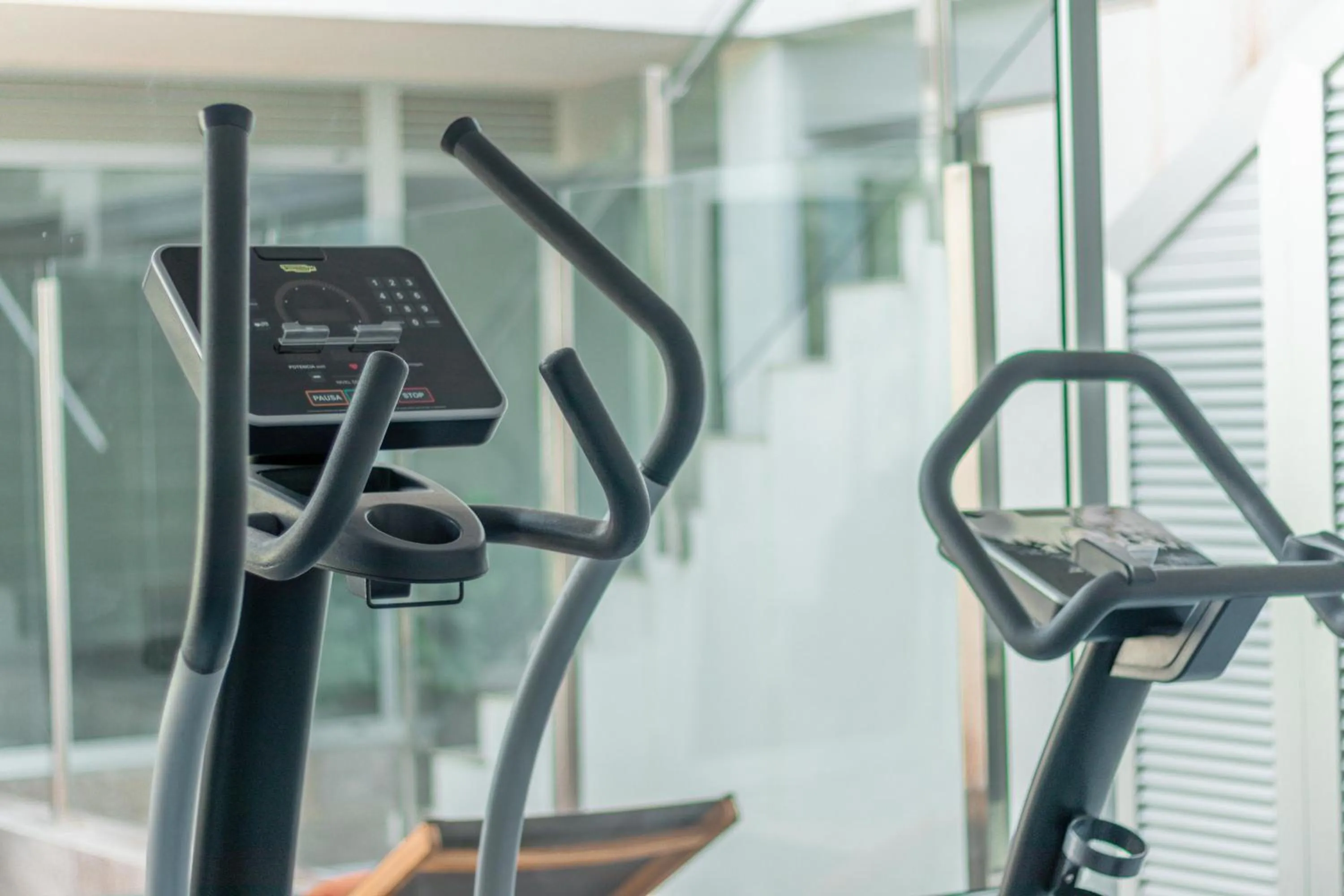 Activities in Apartamentos El Palmar