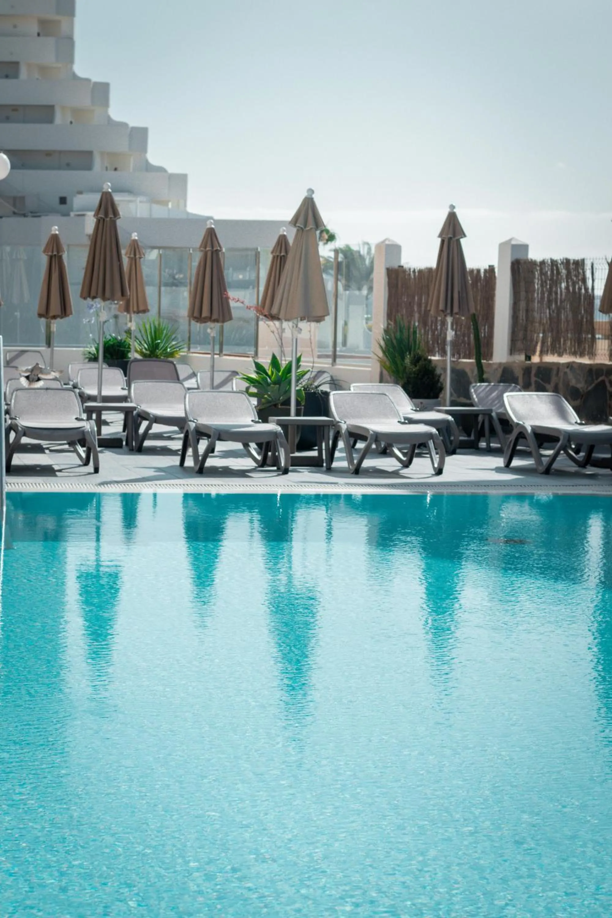 Swimming pool in Apartamentos El Palmar