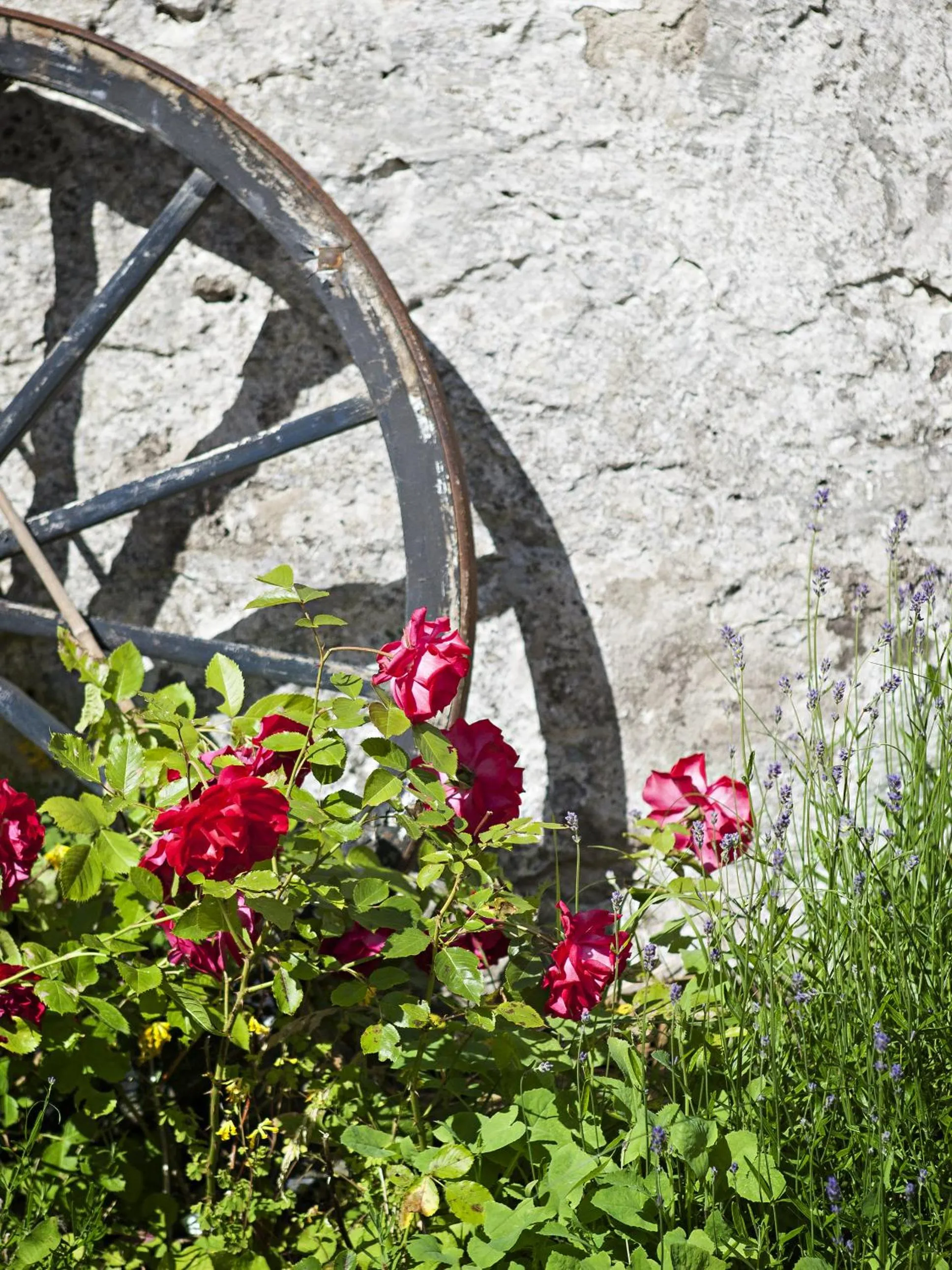 Garden in Visby Logi & Vandrarhem