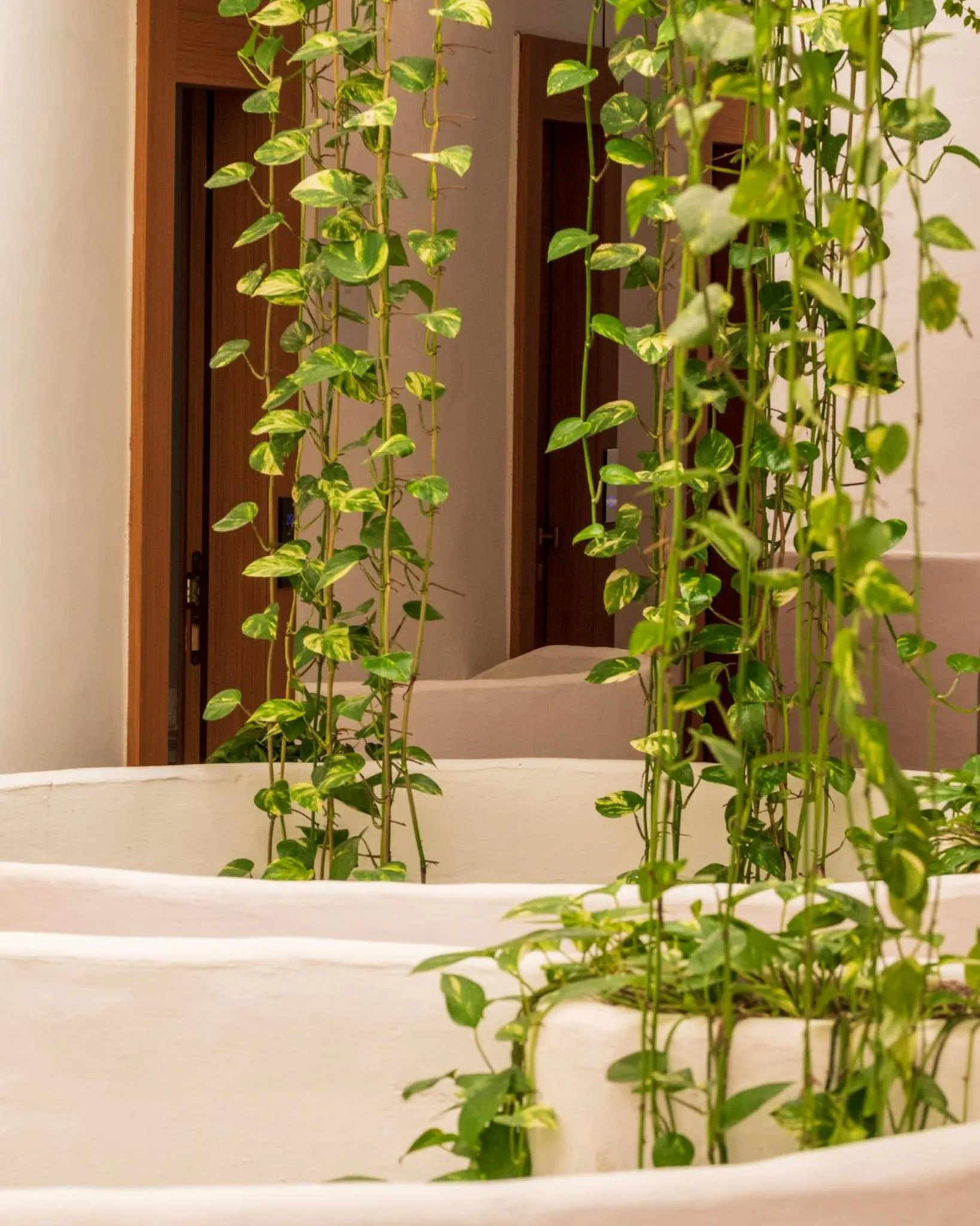 Garden in Approdo Resort Thalasso Spa