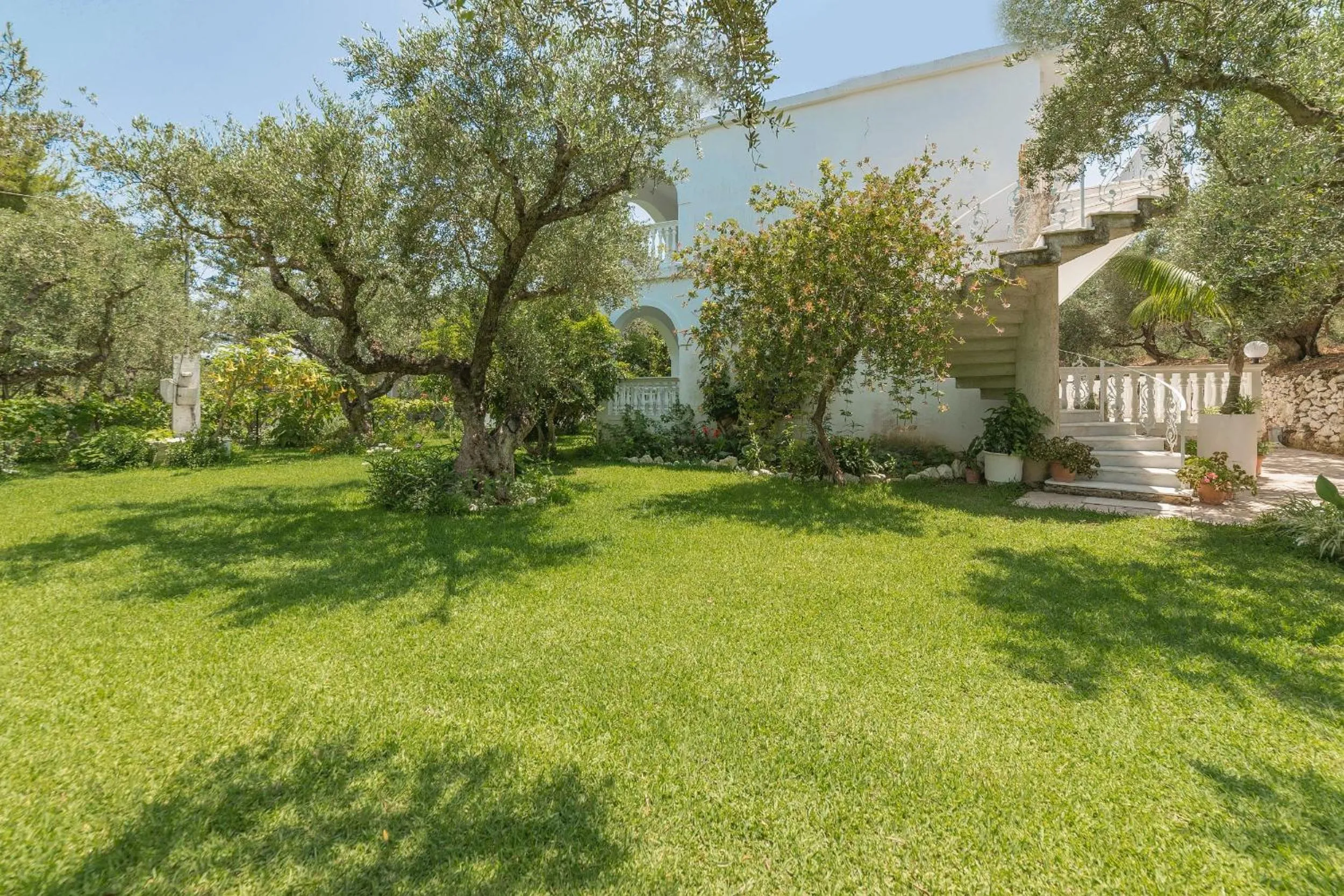 Garden in Ruassi Studios