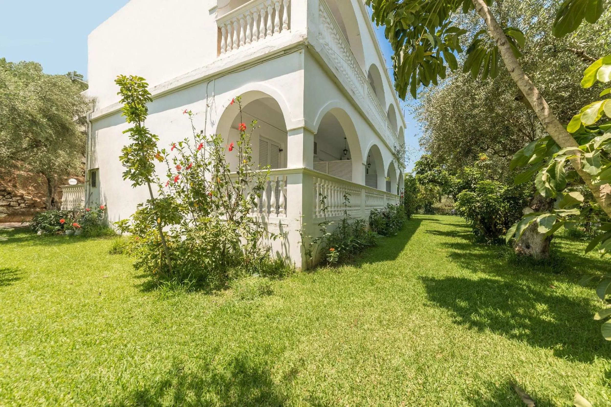 Garden in Ruassi Studios