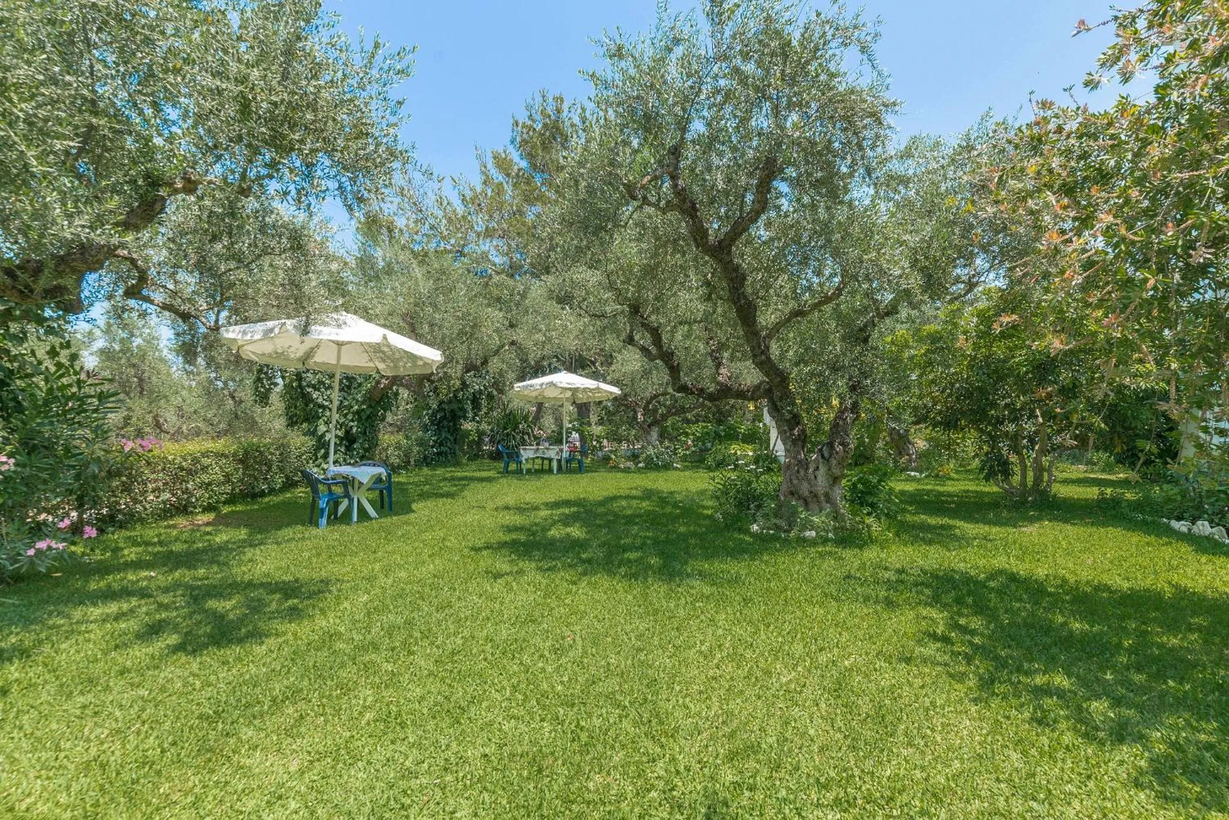 Garden in Ruassi Studios