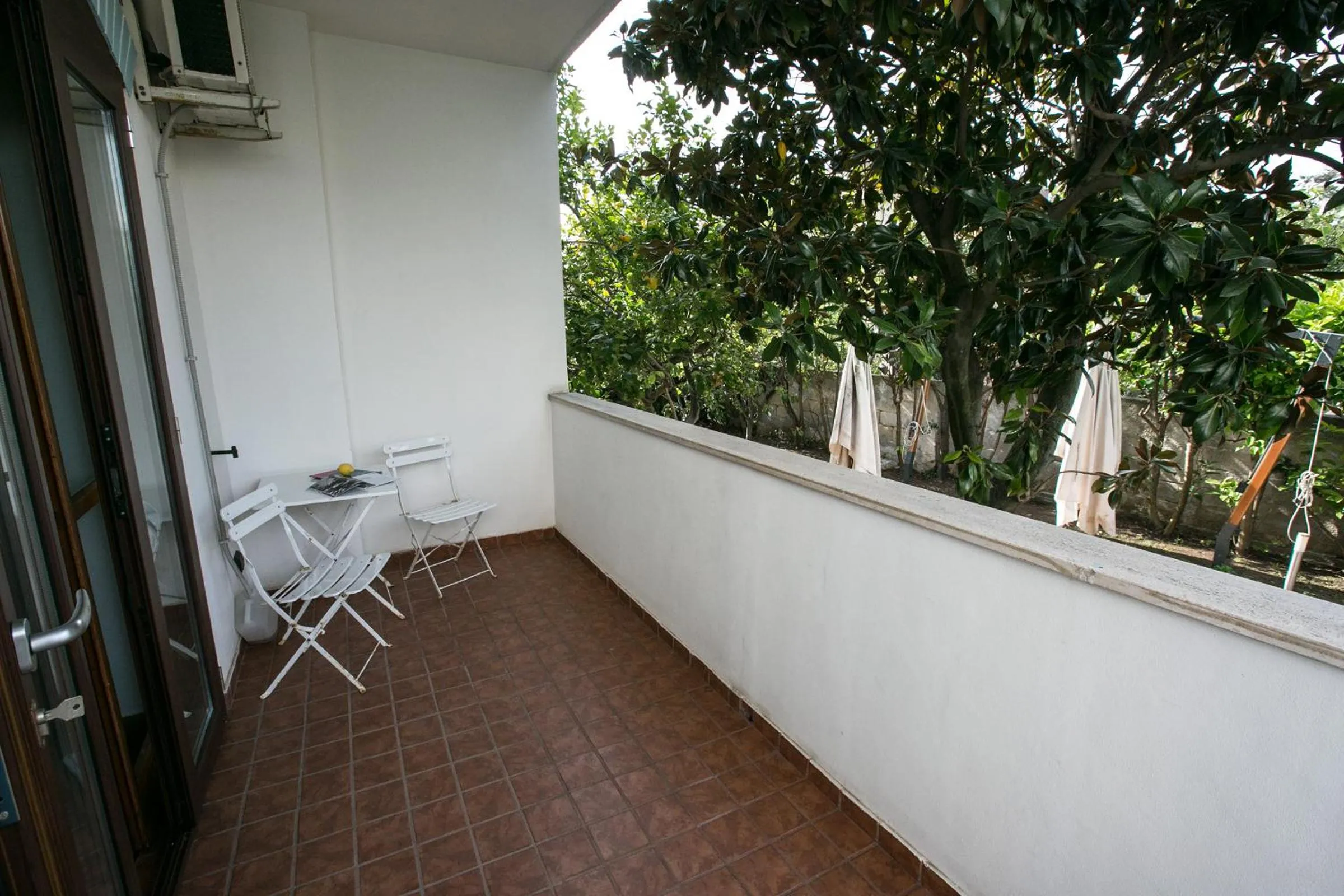 Garden view in Villa Del Mar