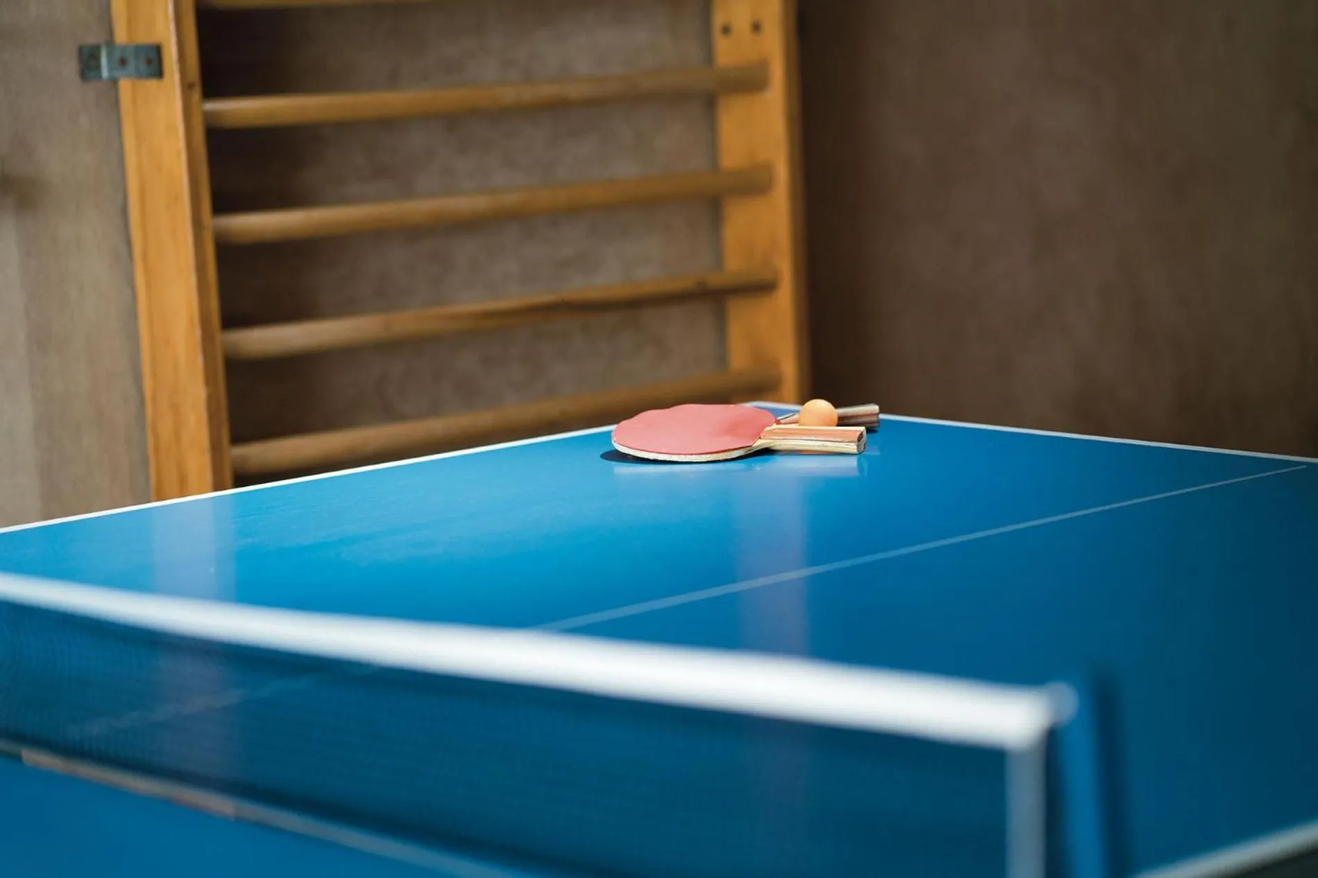 Table tennis in Hotel Gasthof Schöpf