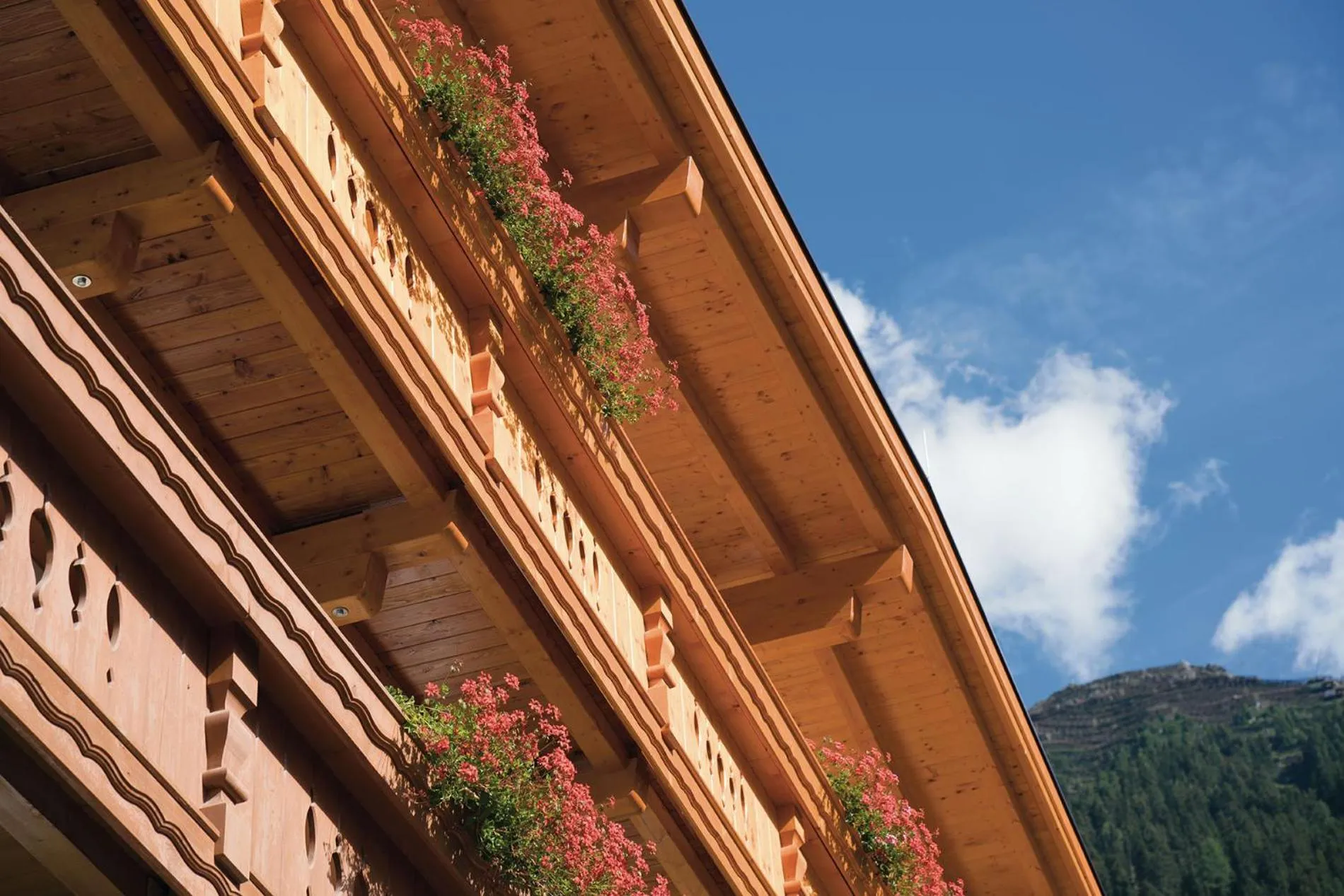 Balcony/Terrace in Hotel Gasthof Schöpf