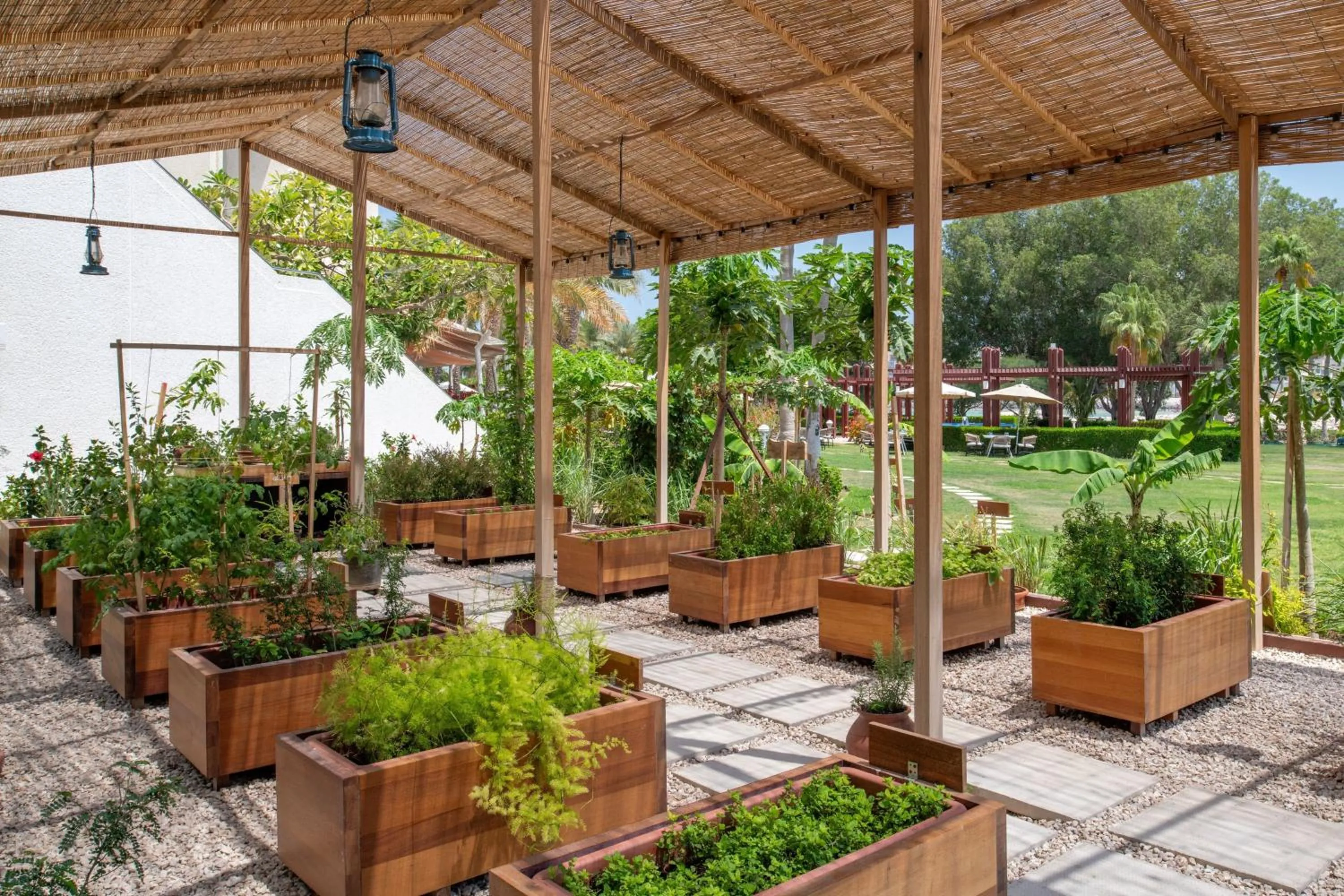 Other in The Ritz-Carlton, Doha