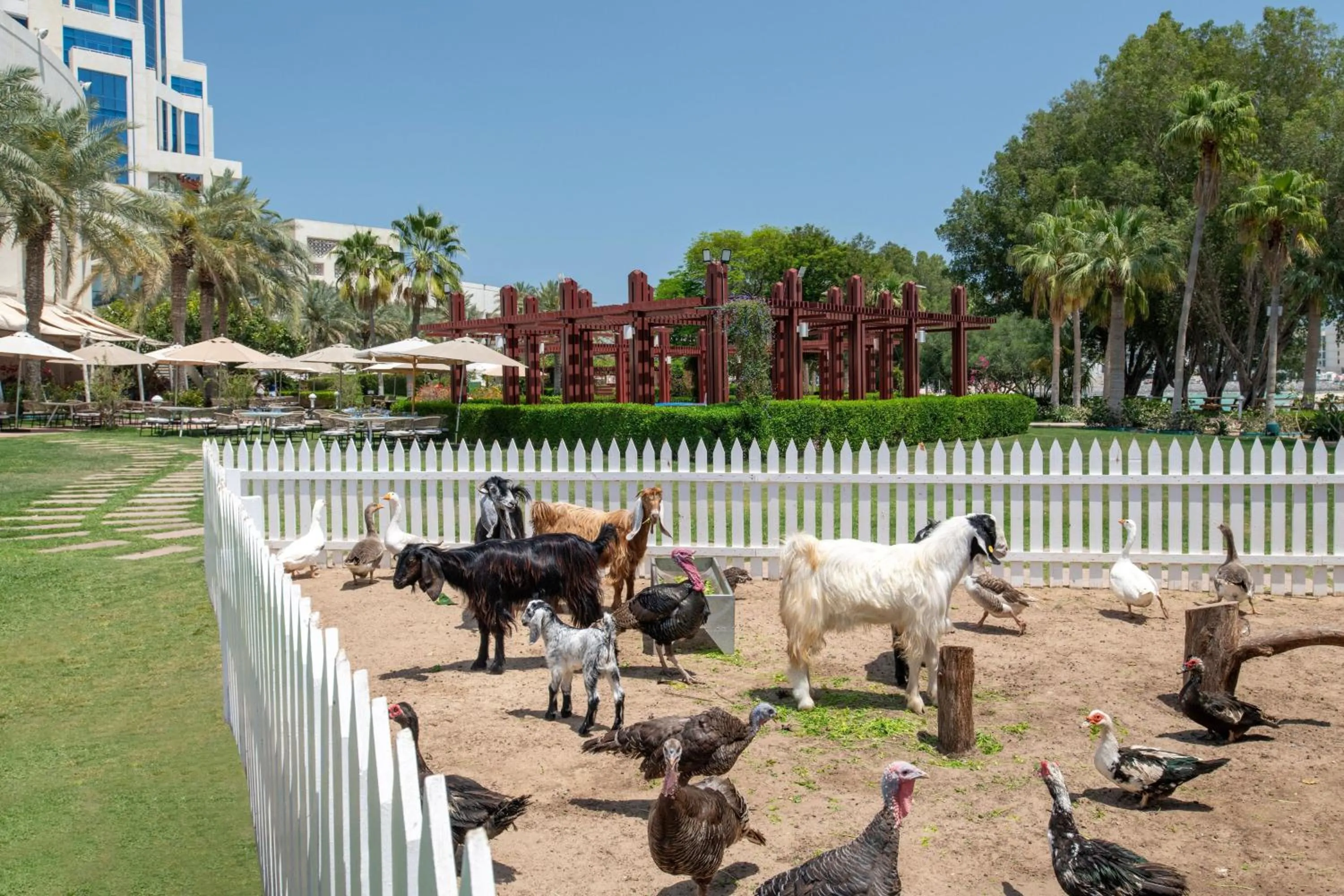 Other in The Ritz-Carlton, Doha