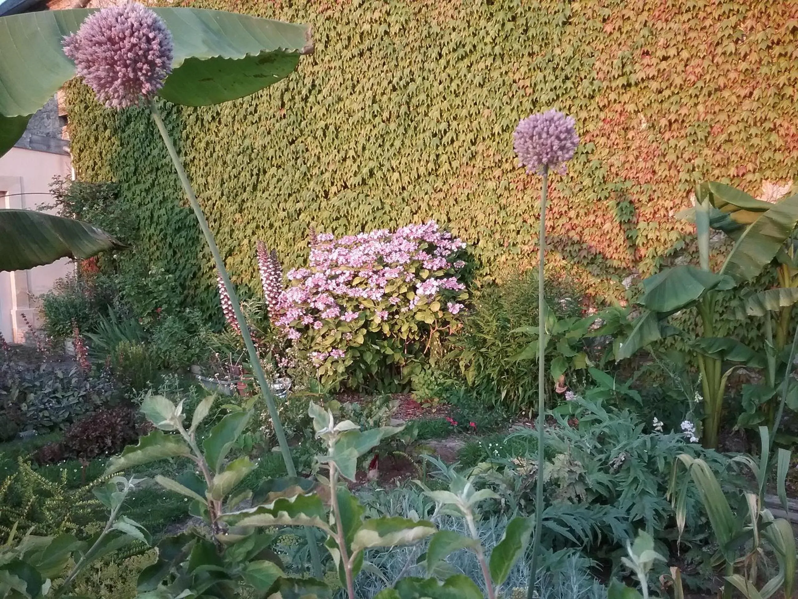 Garden in Chambre d'hôte le 18-20
