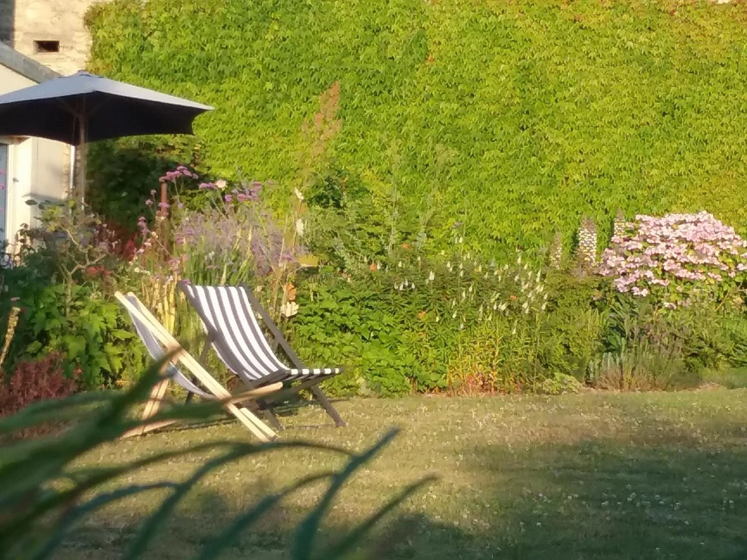 Garden in Chambre d'hôte le 18-20