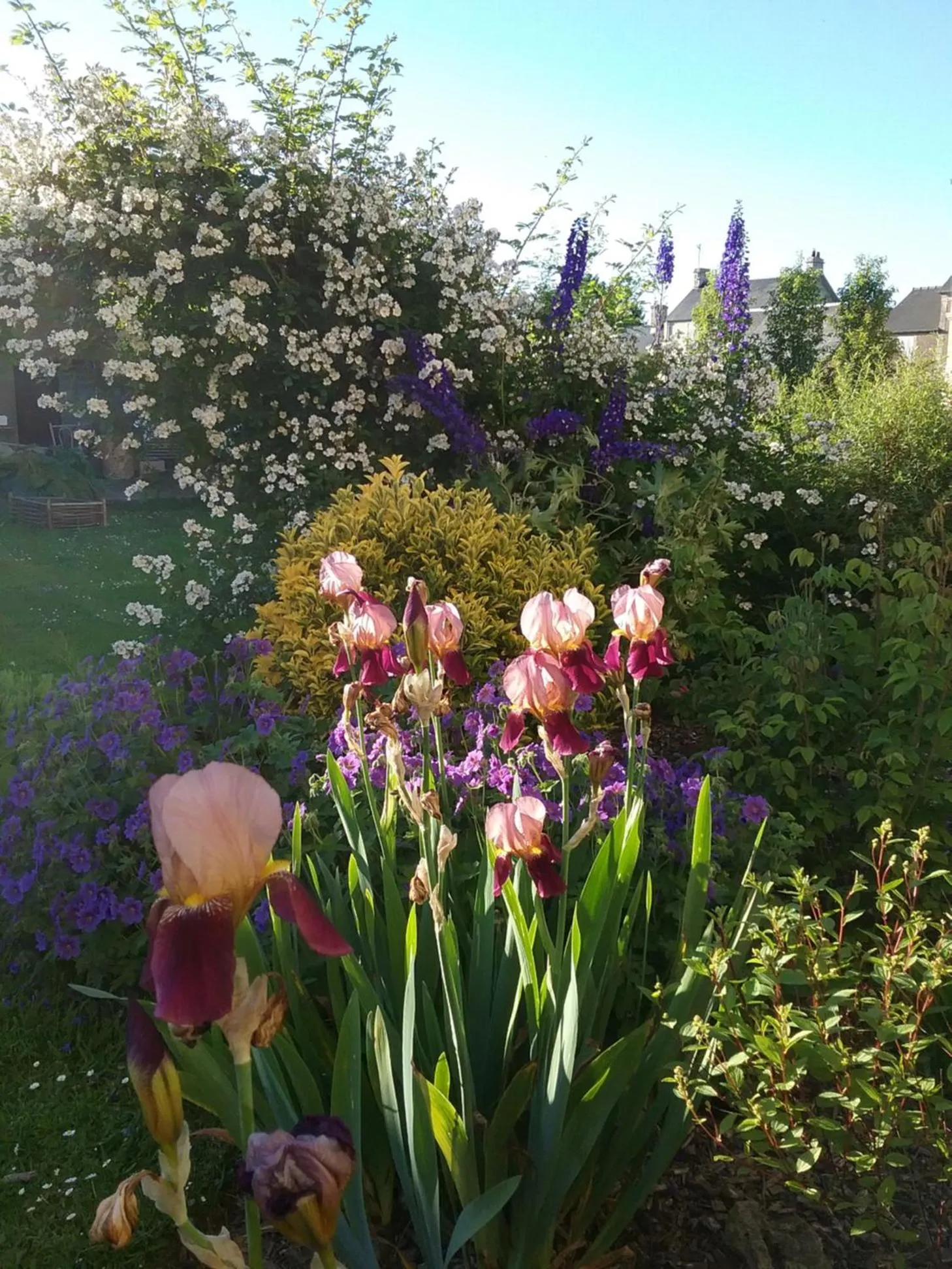 Garden in Chambre d'hôte le 18-20